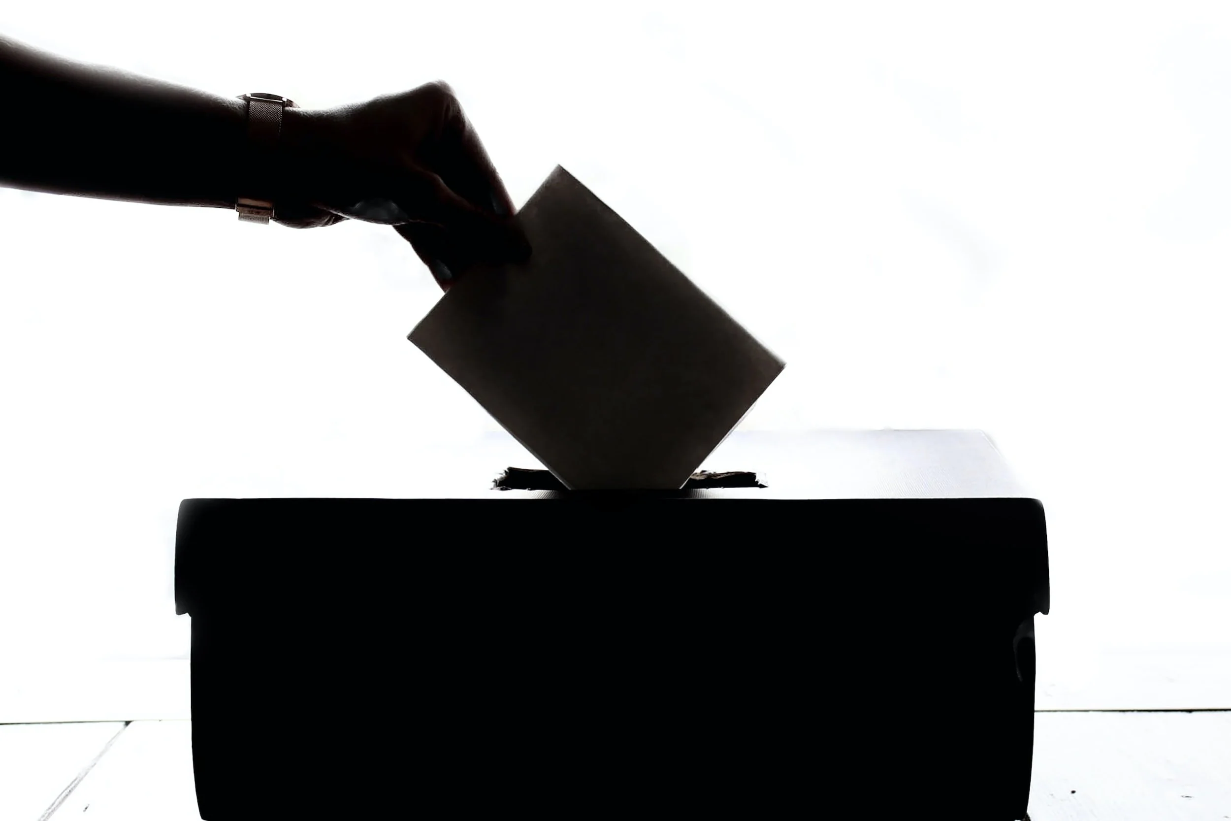 Bel Air - Beverly Crest Neighborhood Council Election