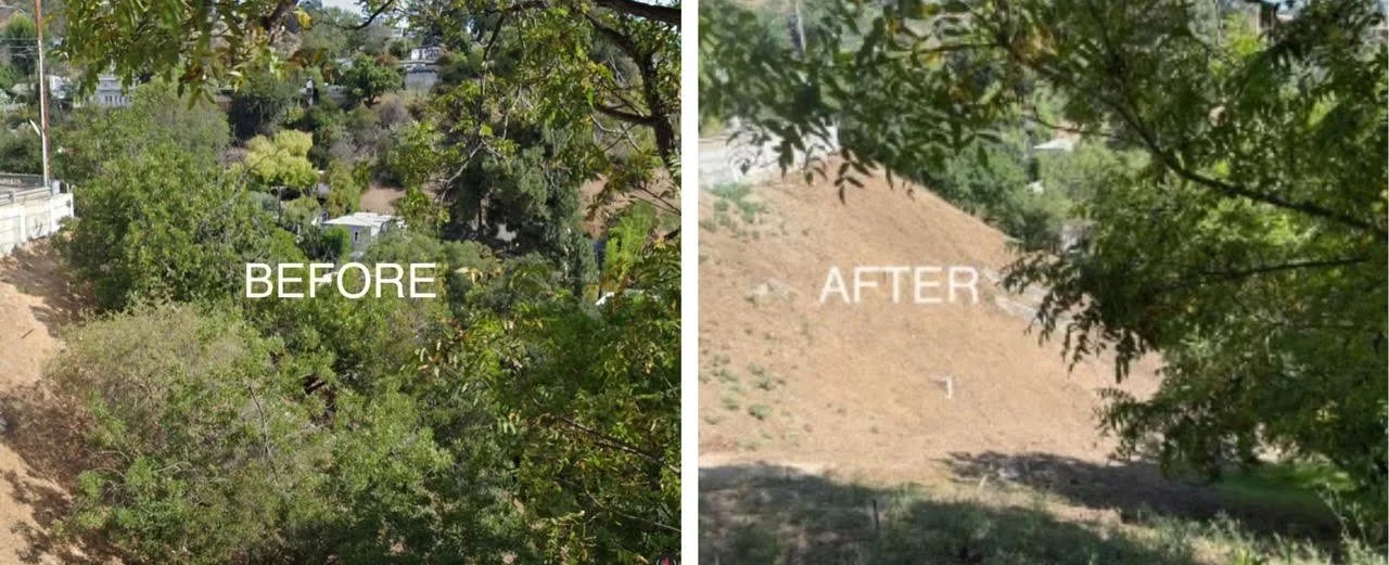 Acknowledge this important action