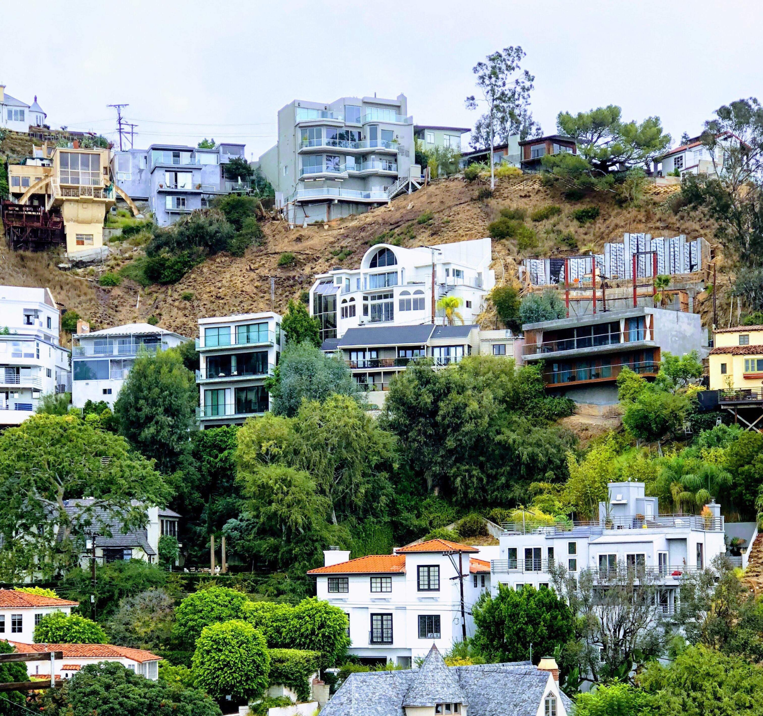 Keep City-Owned Hillside Lots in Public Hands