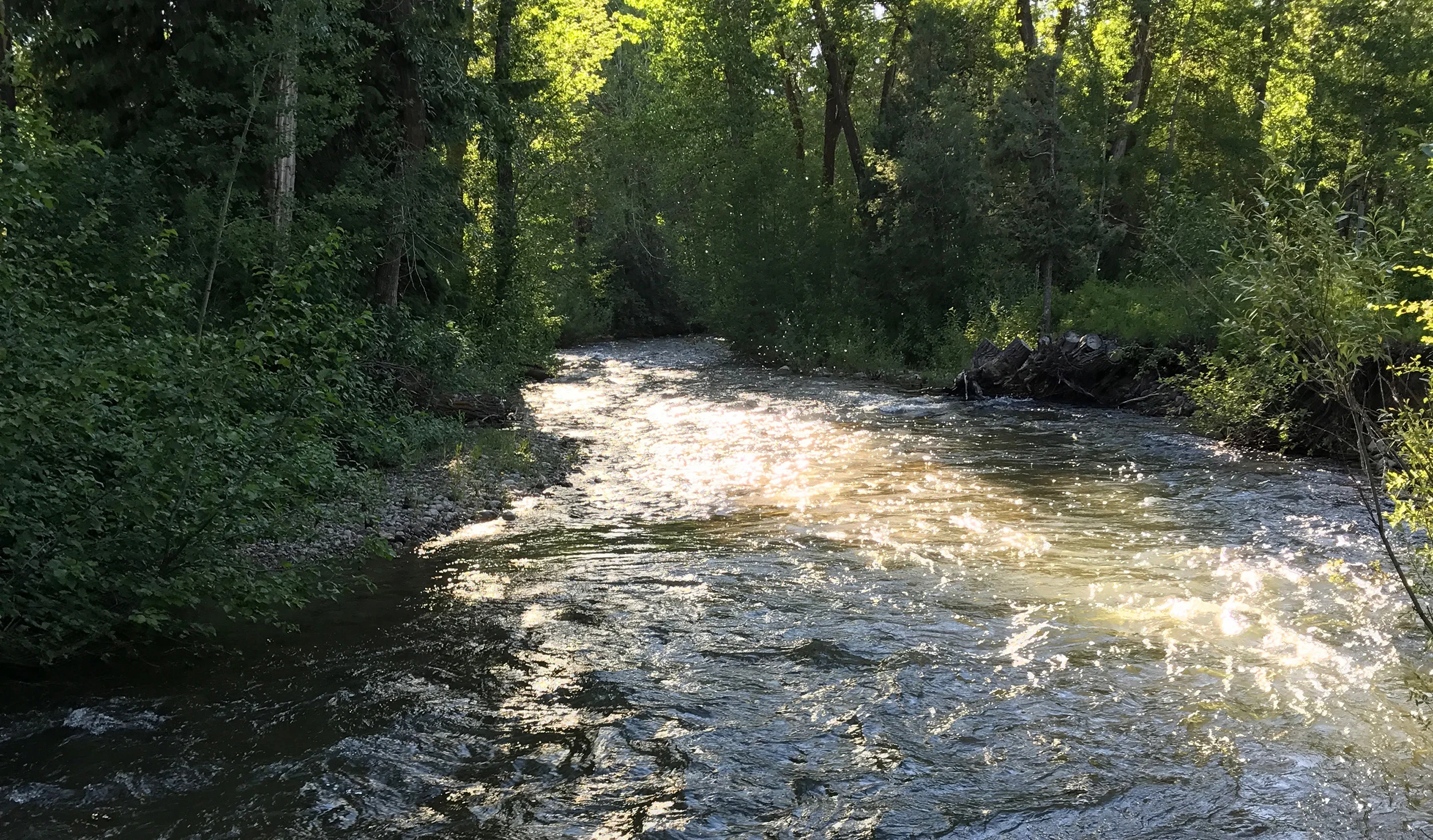 badger-creek-creek.jpg
