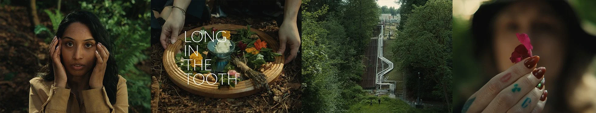 Long In The Tooth, a short film by Clayton Flag, with sound design by Stephan Nowarre, and shot by Grace Loeppky. Starring Jade Zulkoskey, Shastina Kumar, and Brian Tam.