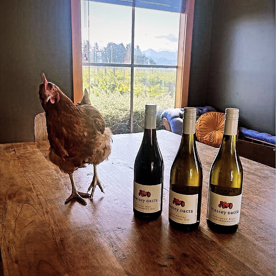 Happy Thanksgiving to all our friends stateside 🦃Wishing y&rsquo;all a safe and happy holiday 🙌🏻
 
Kick off your day with a glass or two of Massey Dacta this year. No better way to celebrate the holidays than with a delicious, fresh glass of Sauvi