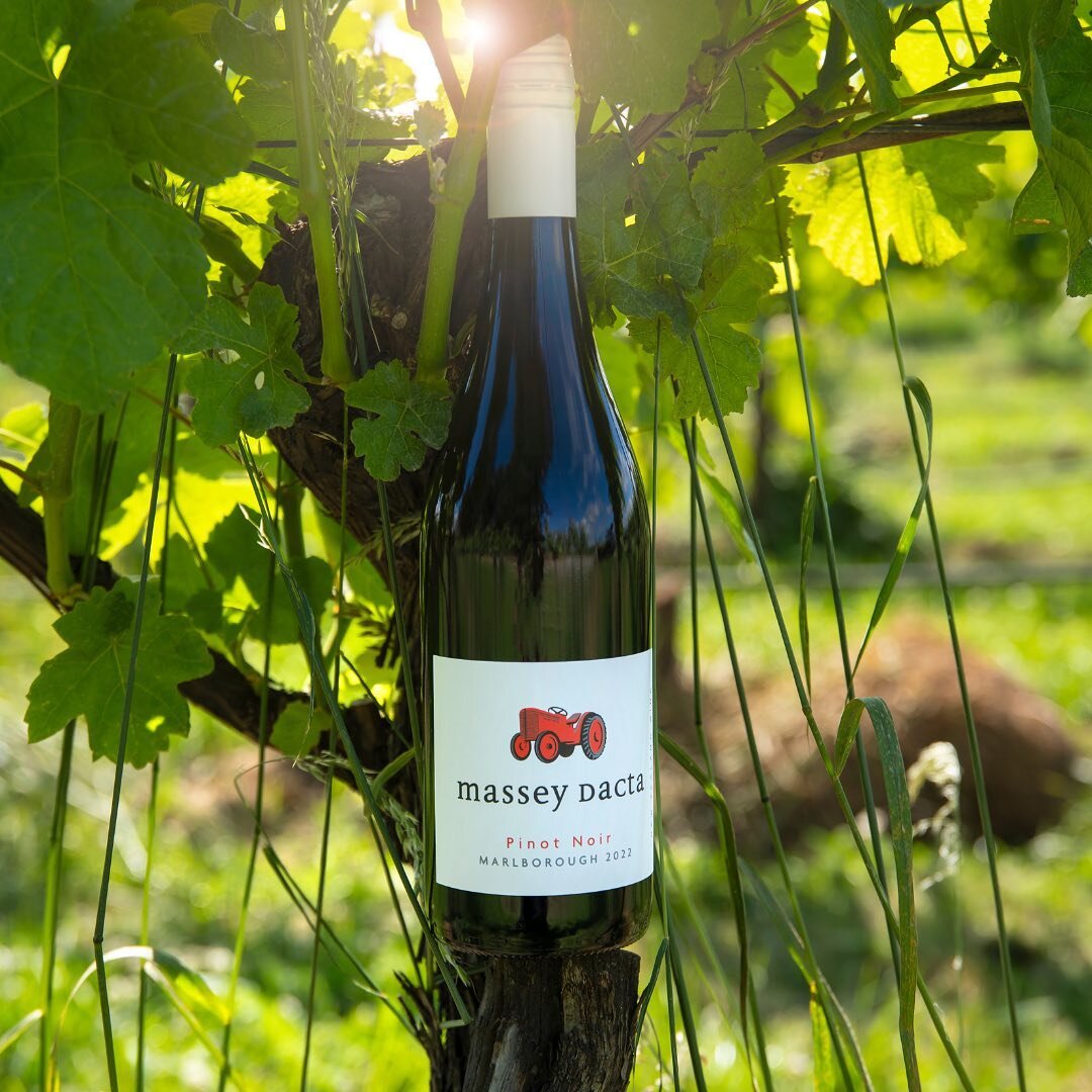 Merry Christmas 🎄 to our Massey fans! 

We have had a cracking start to our growing season and can&rsquo;t wait to see what crush 2024 brings. But for now, it&rsquo;s time for a glass of #sauvignonblanc or #pinotnoir and some well earned family time