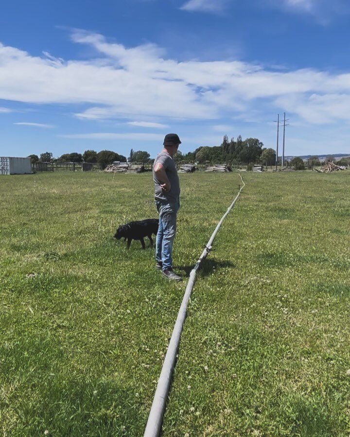 Old school hand line irrigation - when we were kids and over the summer this was shifted 3 x day (6hrs on) when we were farming peas garlic corn and grasses for our dairy herd - back on the tools after 30+ years - to make sure our Red Devon cattle (l