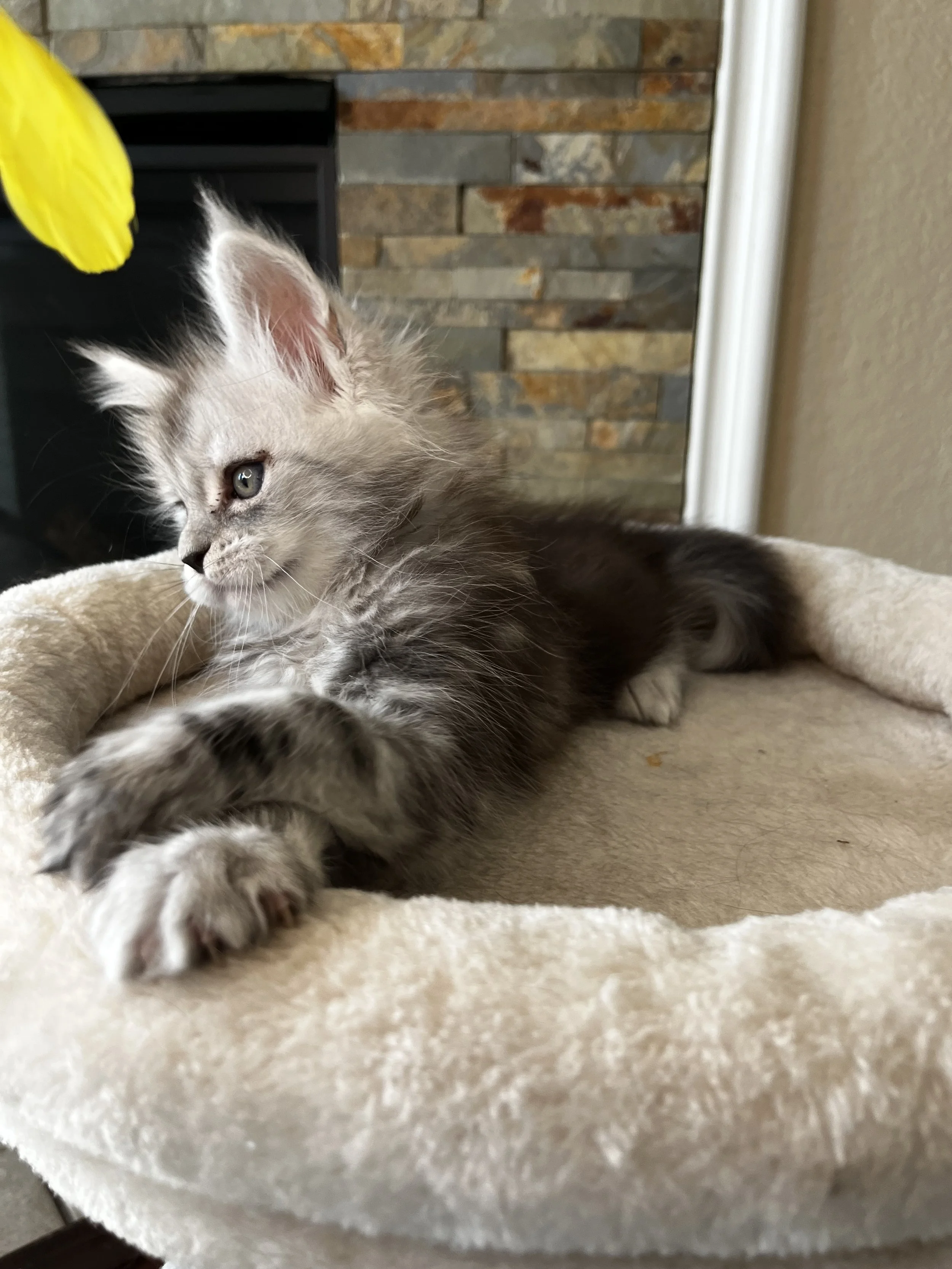 IMG_5395.jpeg