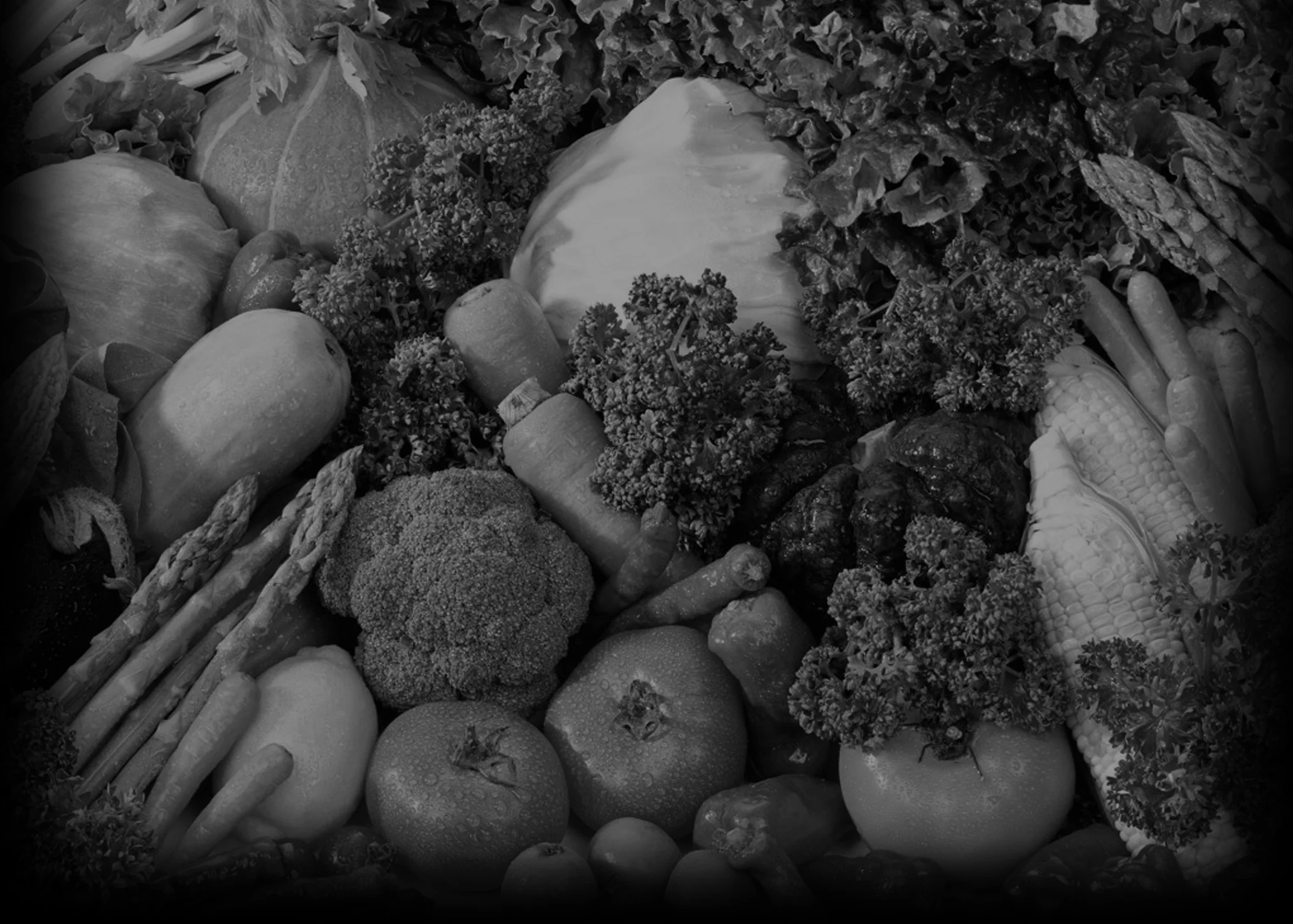 Athletes & Coaches — Fuel