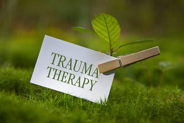 emdr-trauma-therapy-calgary.jpg