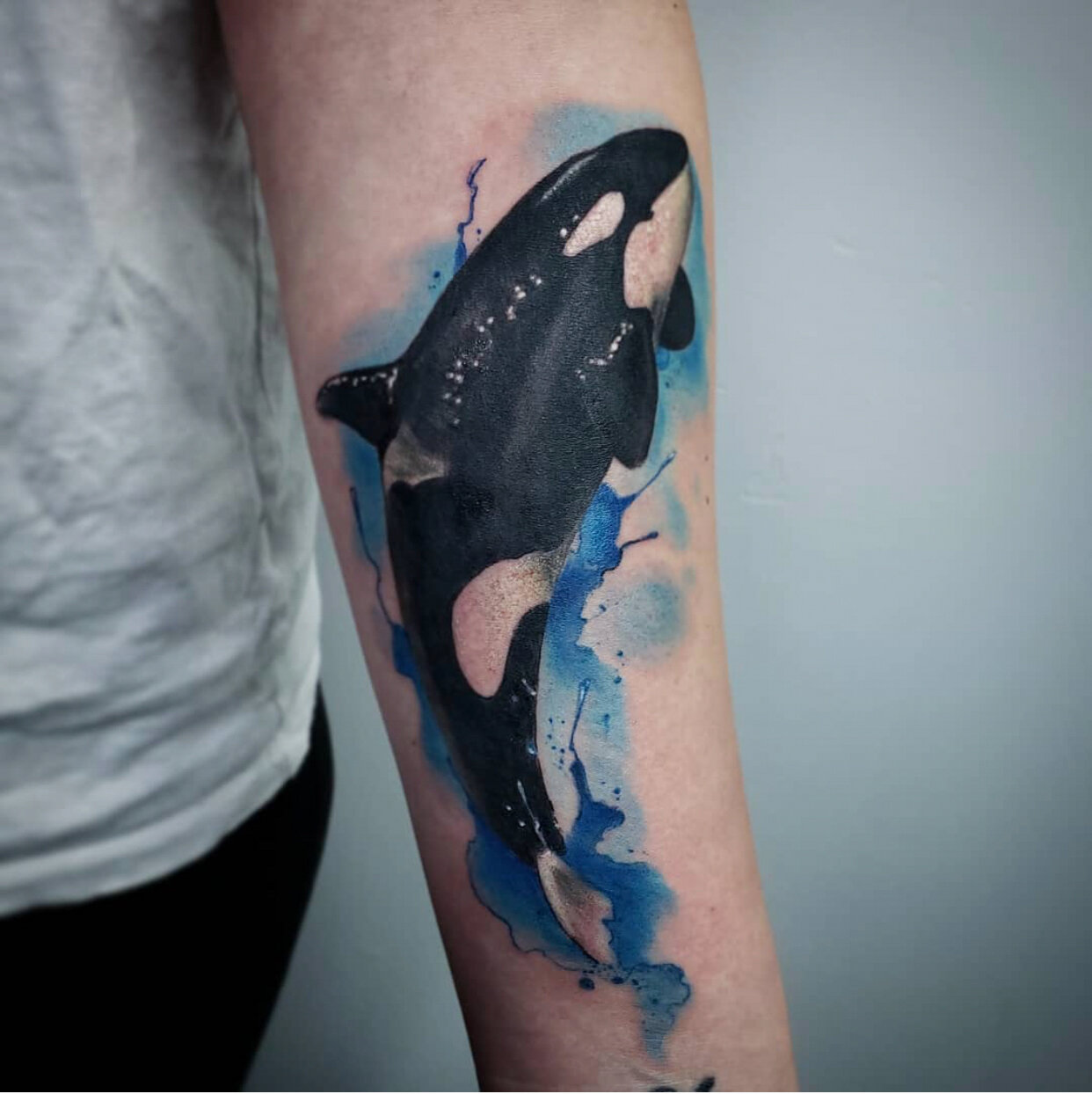 ejburge on Instagram orcatattoo tofino  Orca tattoo Whale tattoos  Tribal tattoos