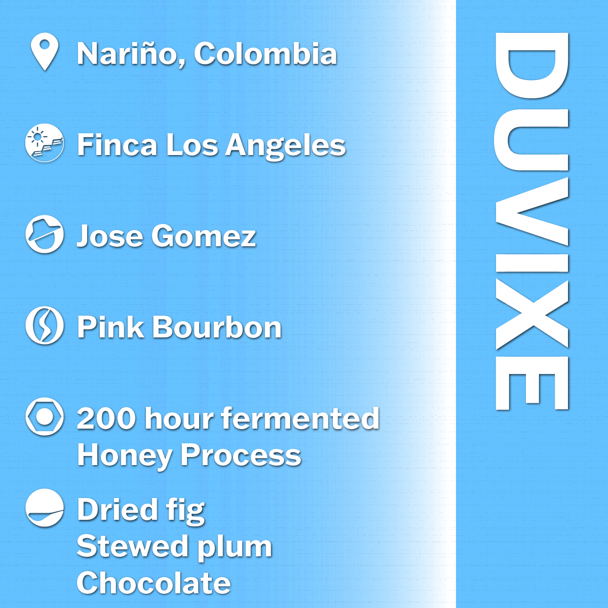 DKC - web info - DVX - Jose.png