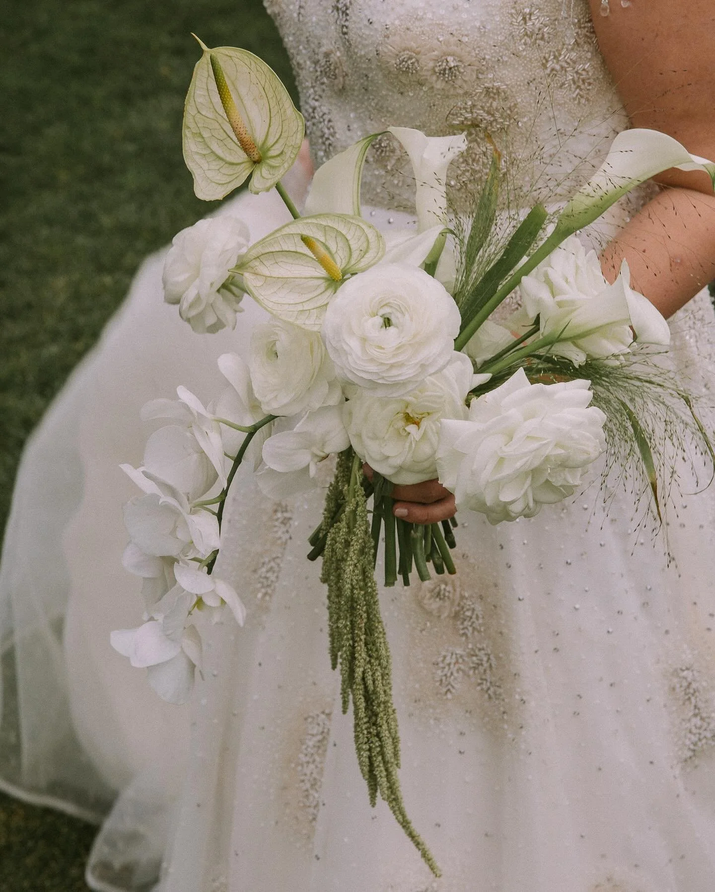 The perfect accessory 

Venue @harvardclubboston 
Photography @kanphotography 
Florals @whitebirchfloral 
Beauty @daniwagenerbeauty @makeupbymiajames @hairbymariana.m 
Dress @sonaliparikh_designs @nidhiembroideries 

#weddingphotography #wedding #wed