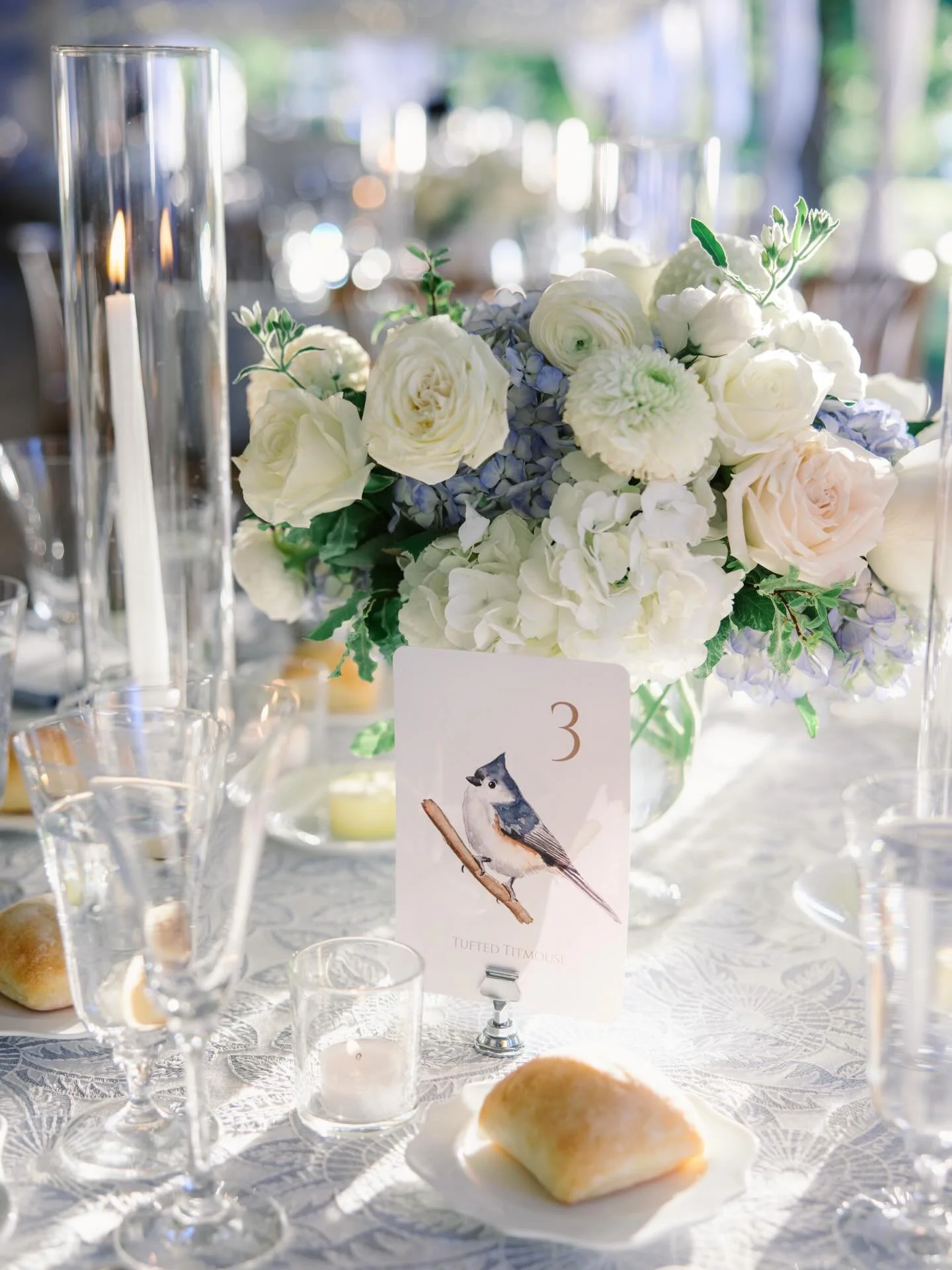 Coastal hues of blues 

Venue @blithewold_ri 
Photography @laurenkearnsphotography 
Florals @whitebirchfloral 
Lighting @eedecor 
Rentals @eedecor @peakeventservices @reverie_social 
Catering @blackstoneri 
Cake @wingatescakedesign 

#wedding #rhodei