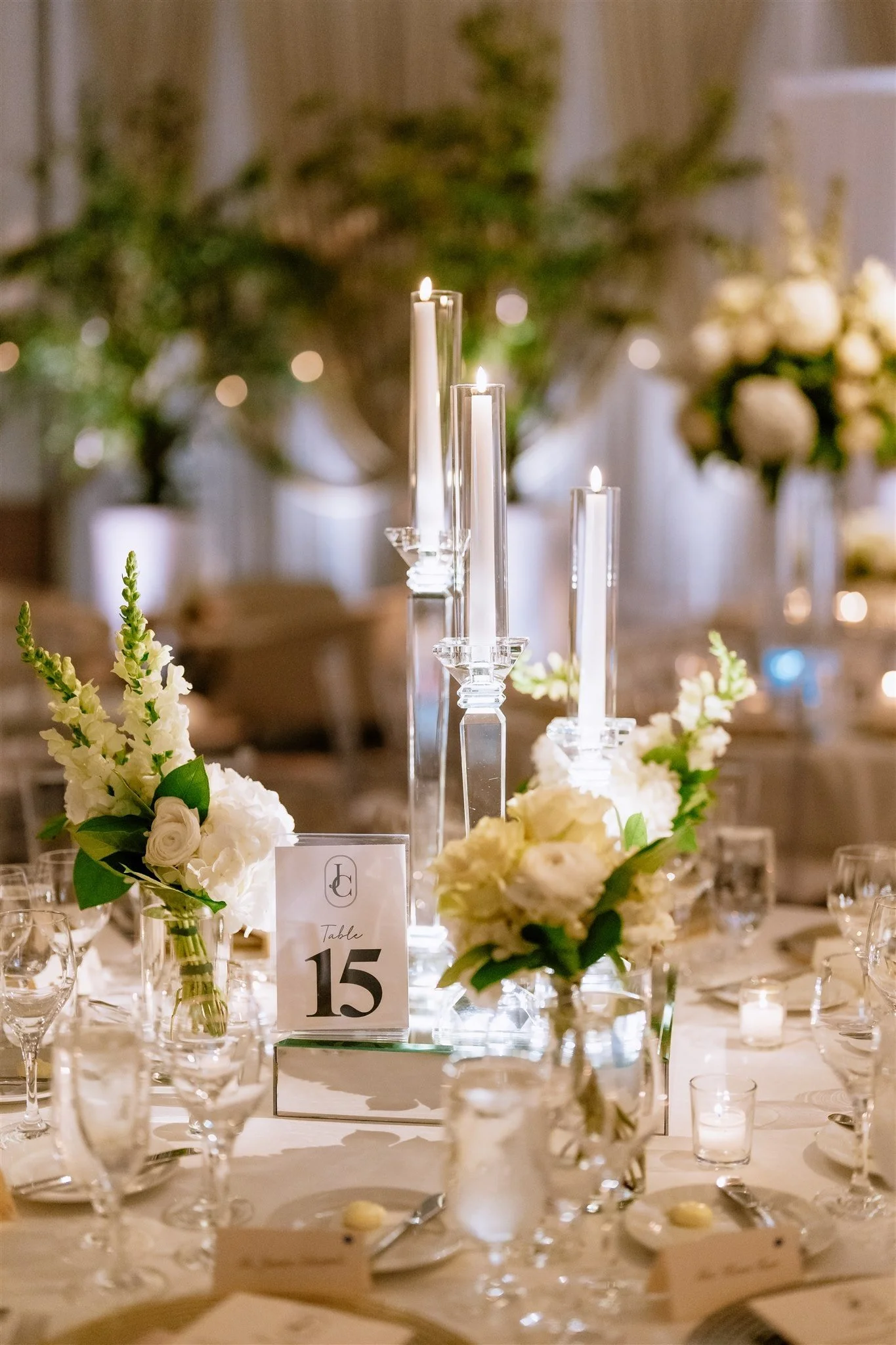 loews-chicago-hotel-wedding47.jpg