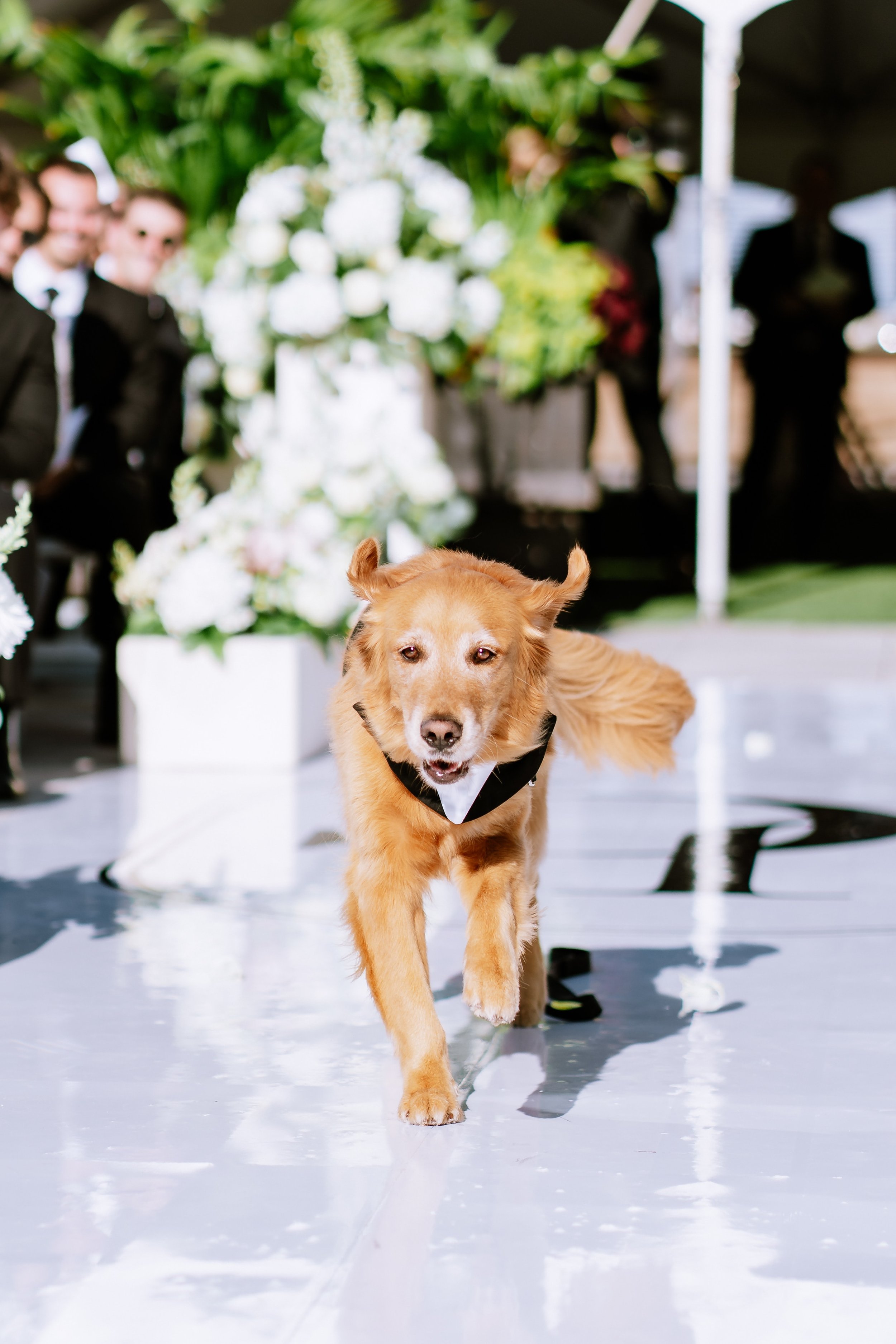 loews-chicago-hotel-wedding1.jpg