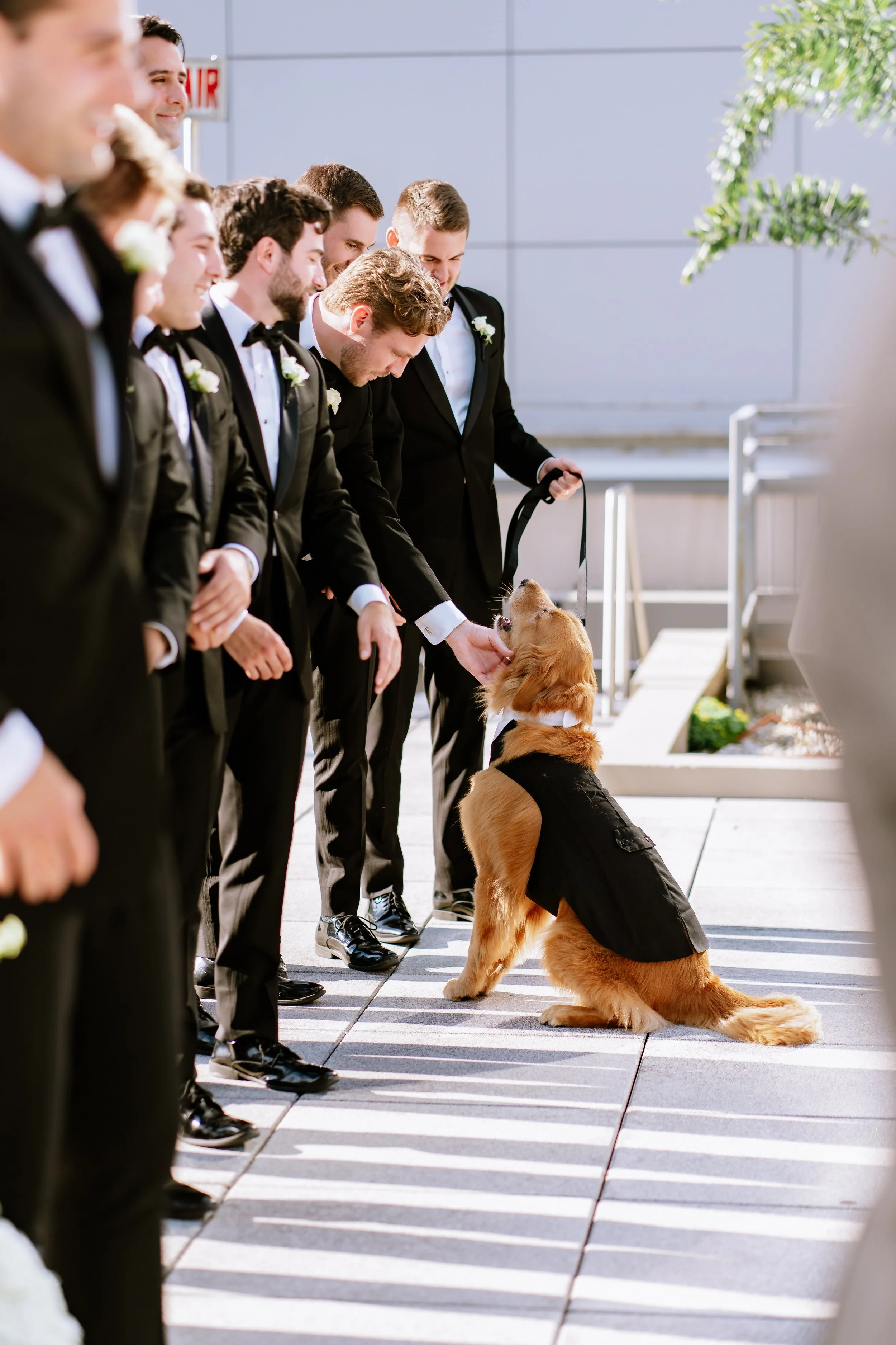 loews-chicago-hotel-wedding2.jpg