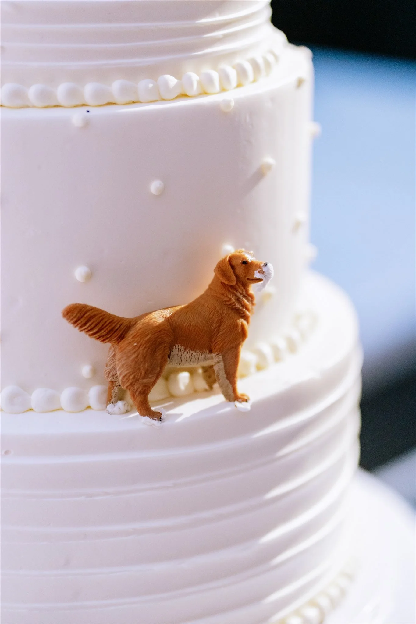 Custom wedding cake with dog on it at Chicago wedding