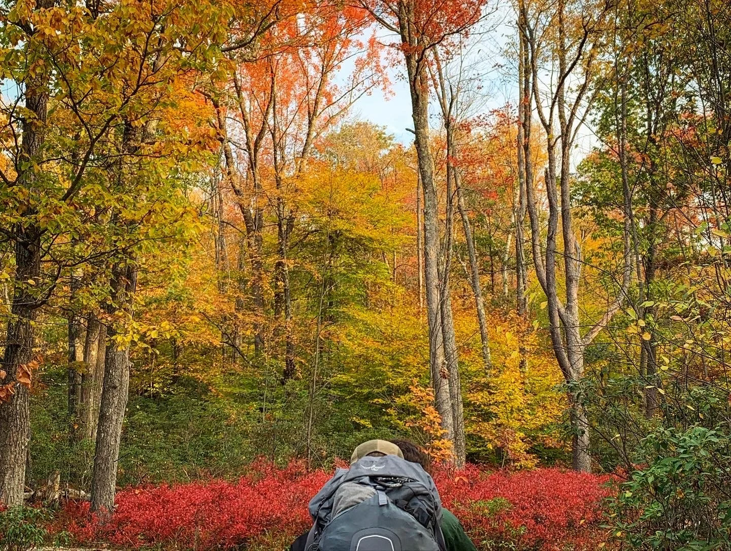 Fall Camping Trip