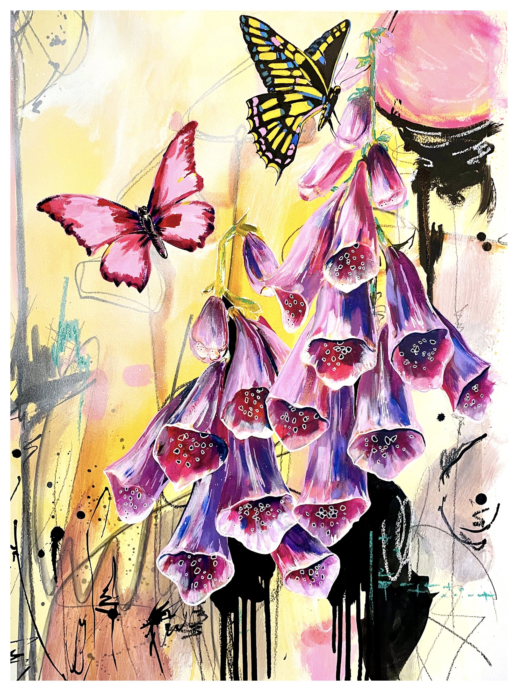 Wonderland