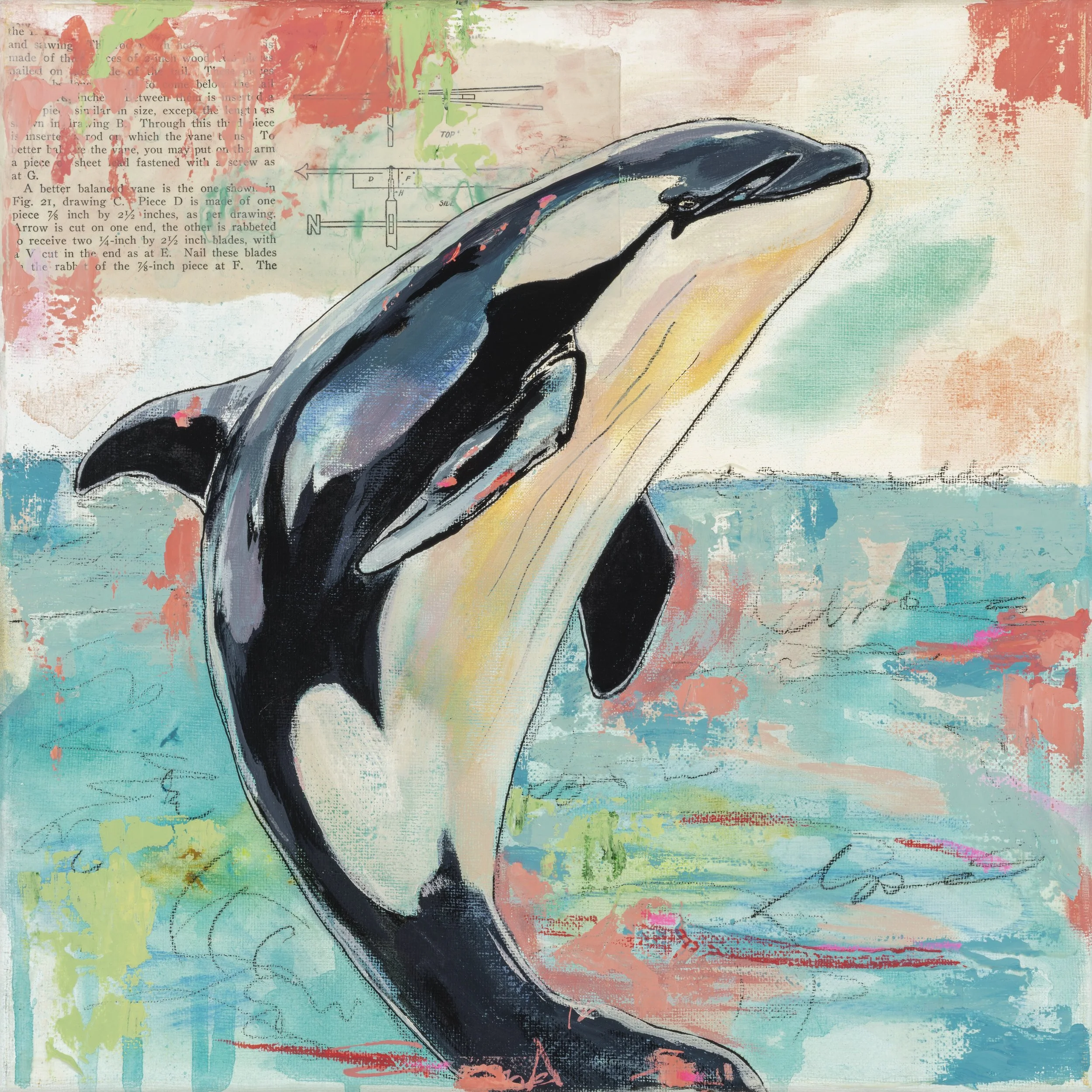 Orca 12x12.jpg