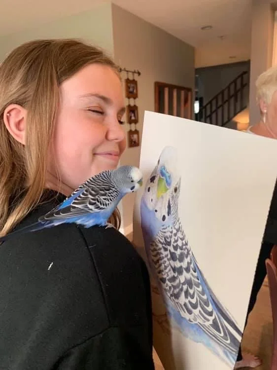 Murphy the Parakeet.JPG