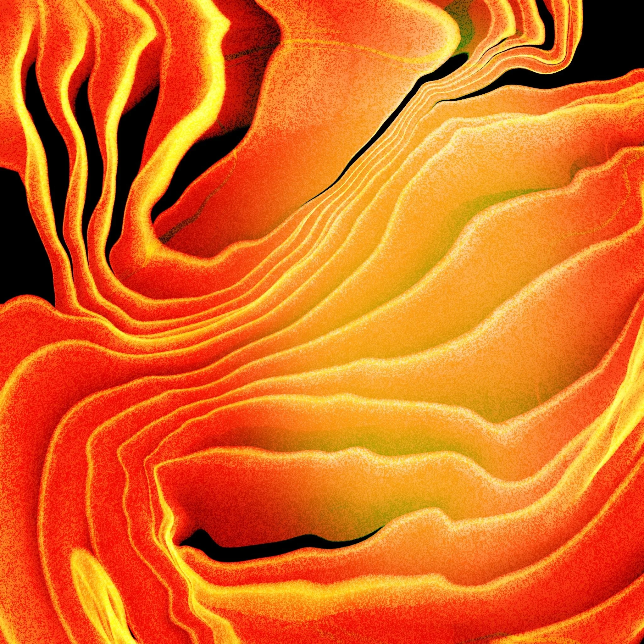 Untitled_Artwork 11.JPG