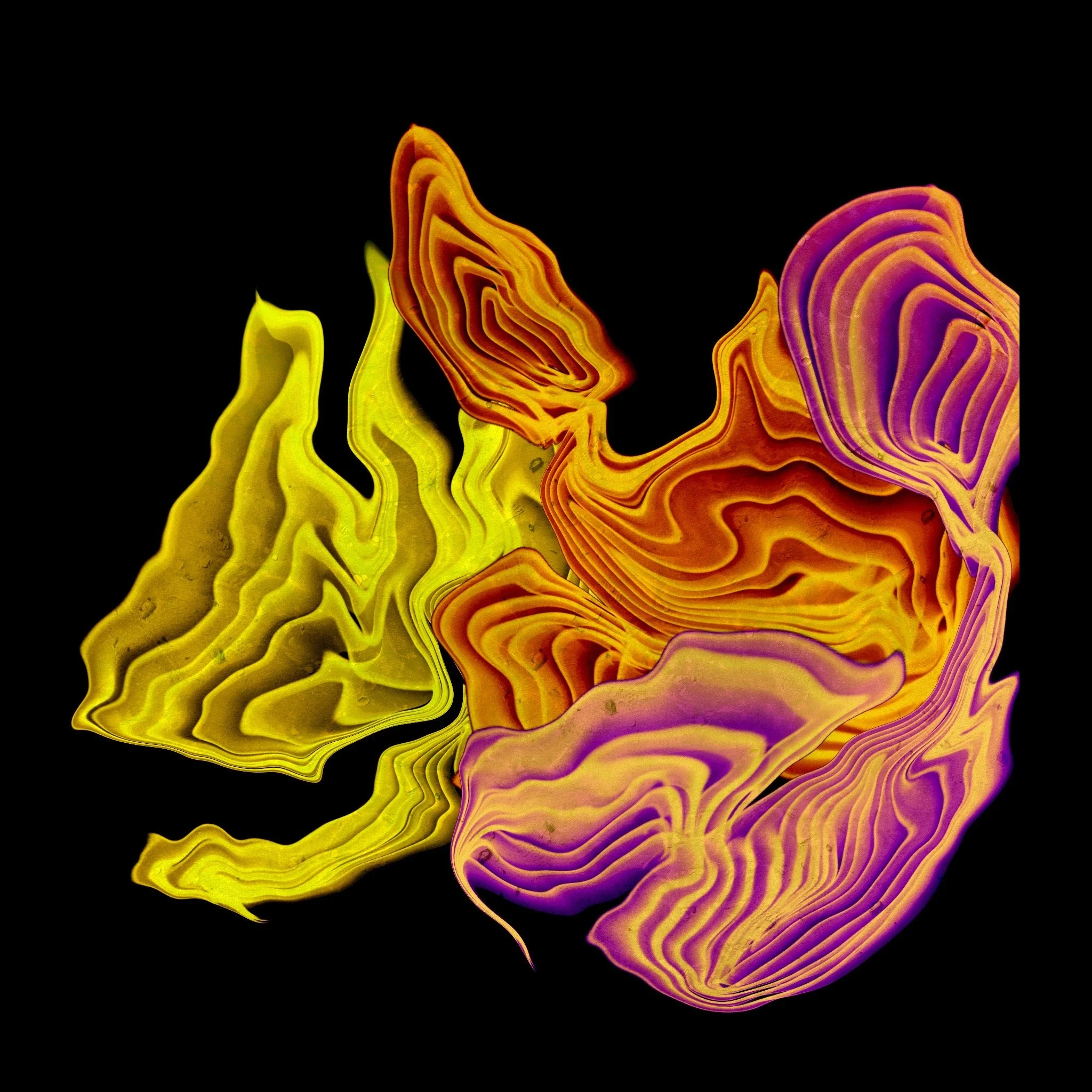 Untitled_Artwork 16.JPG