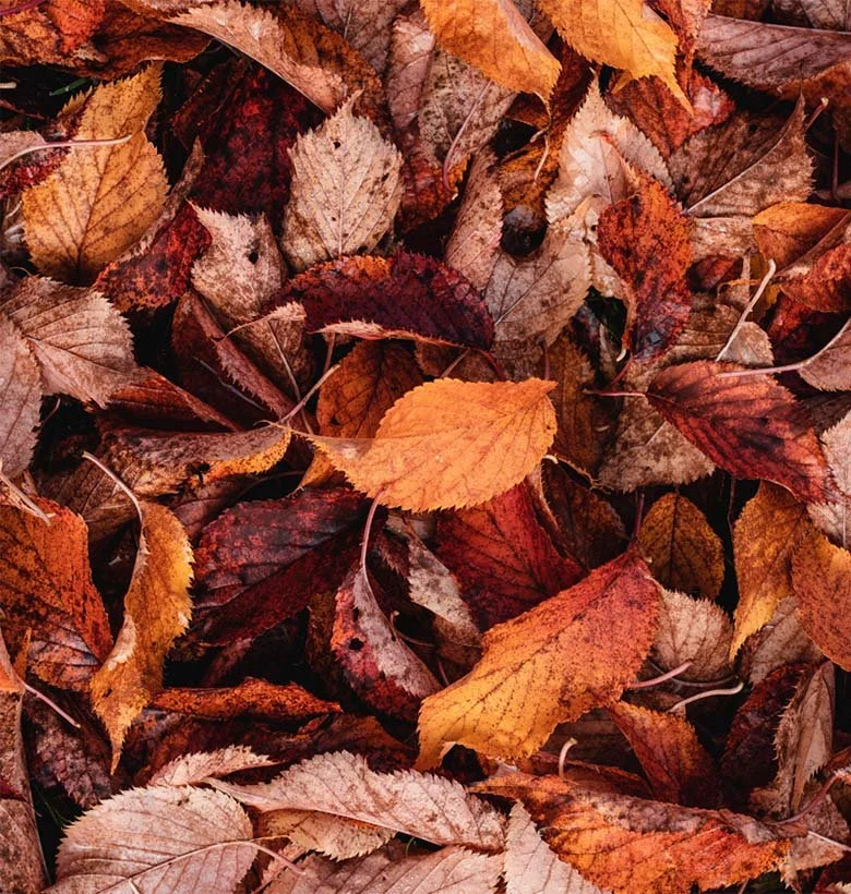 Keeping seasonal allergies at bay with great air quality solutions is one of our super-powers!