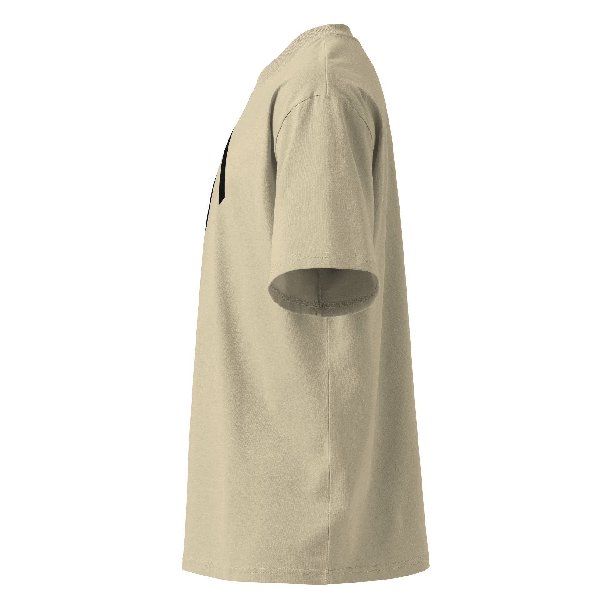 unisex-organic-oversized-high-neck-blaster-2.0-t-shirt-stone-left-6a05fd5034673.jpg