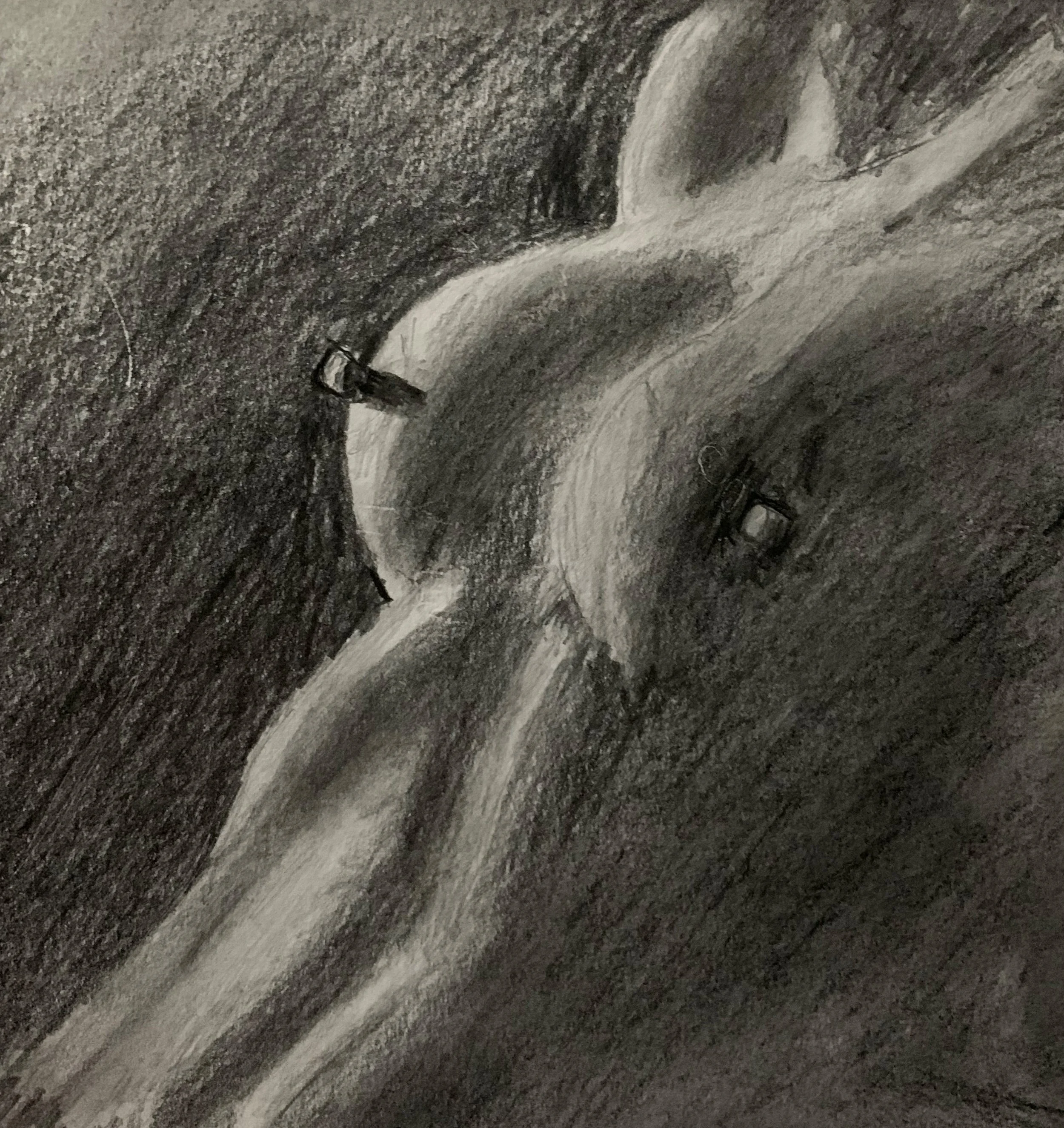 Embrace