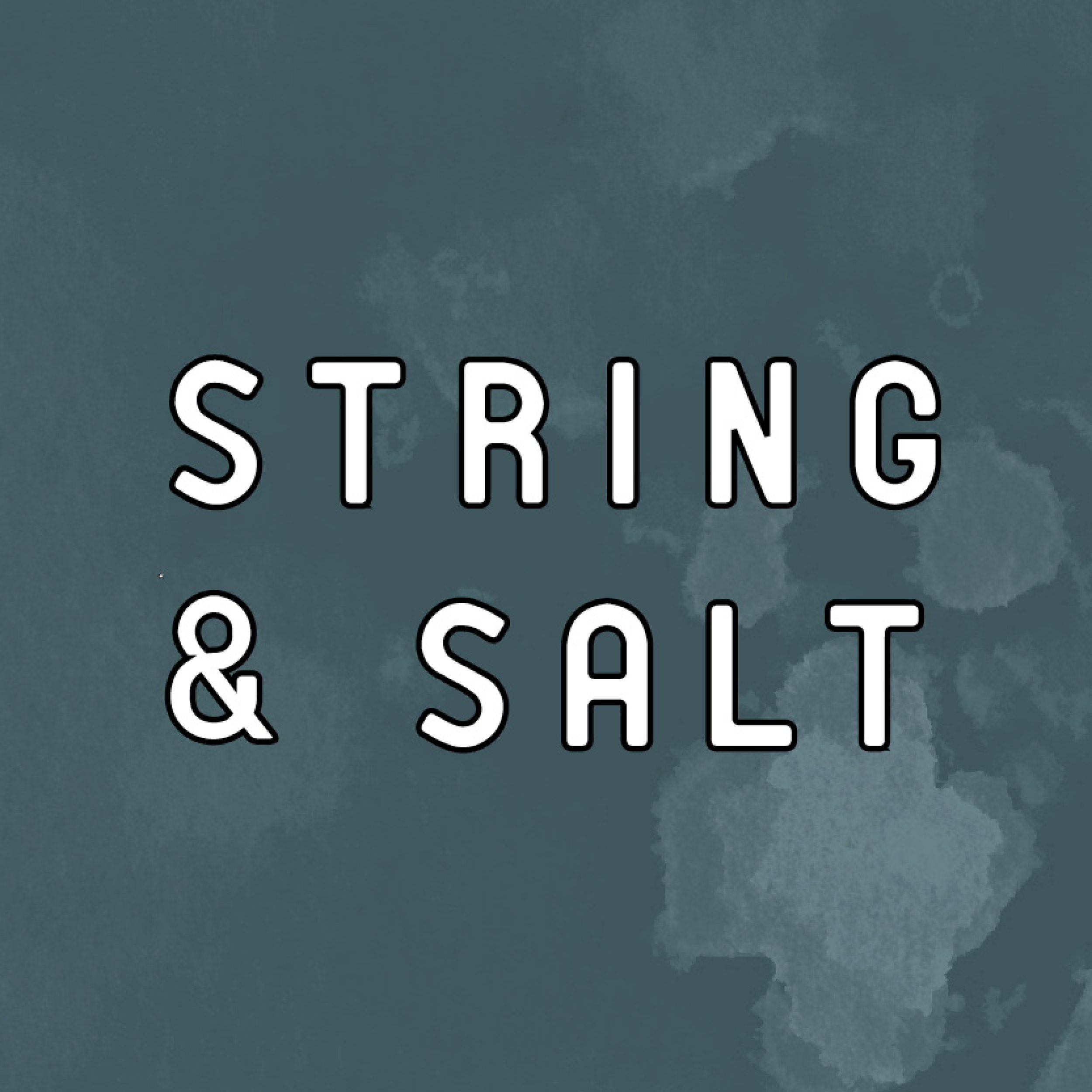 String & Salt Logo.jpg