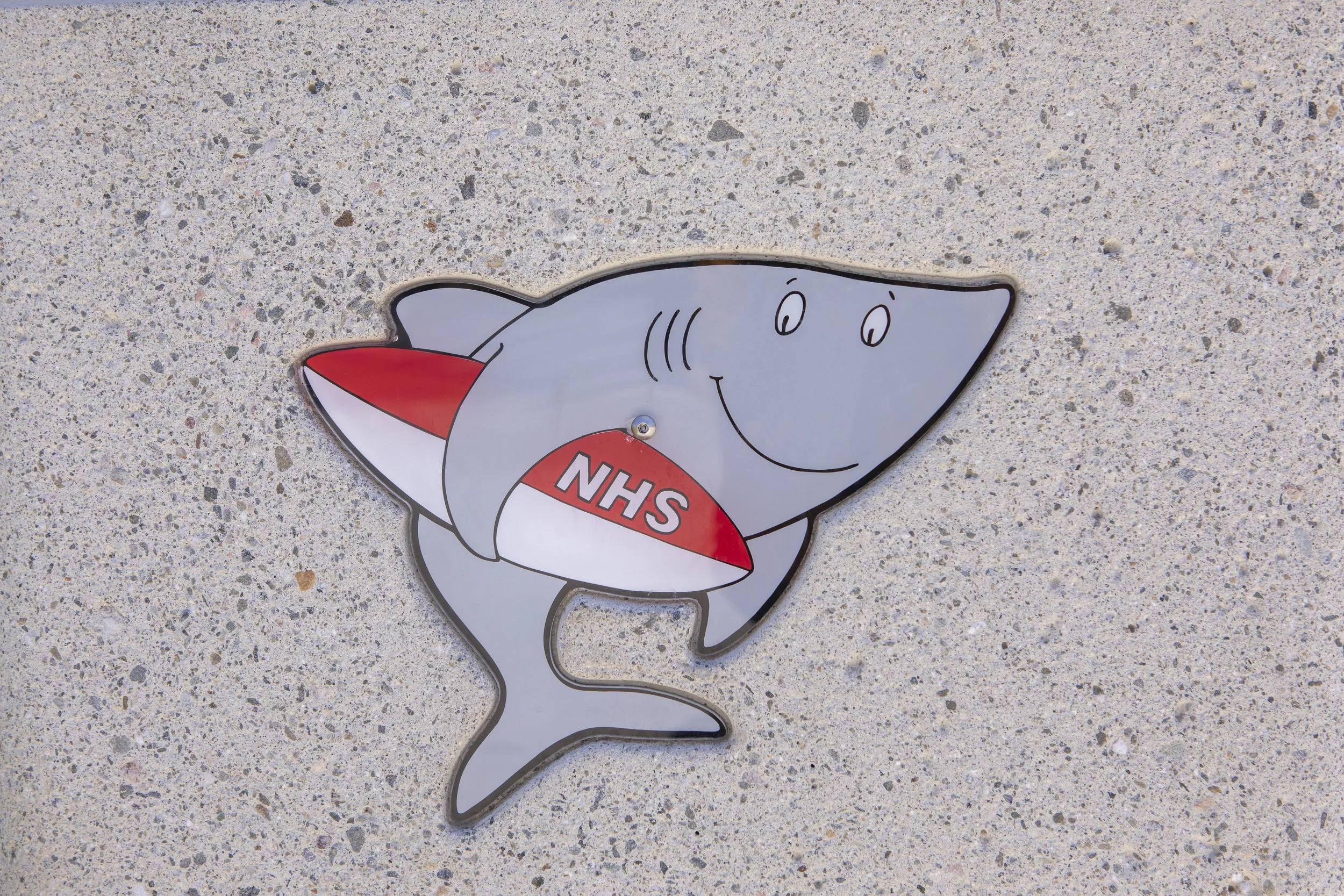 NHES Foundation_2019-84.jpg
