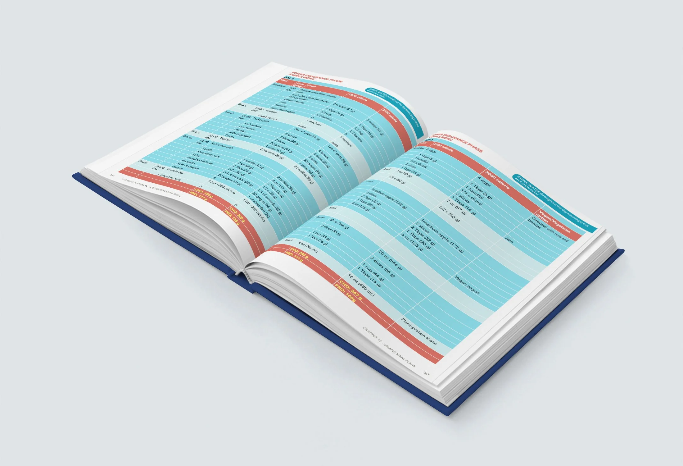 Isometric Inner Pages Books_Mockup copy.jpg