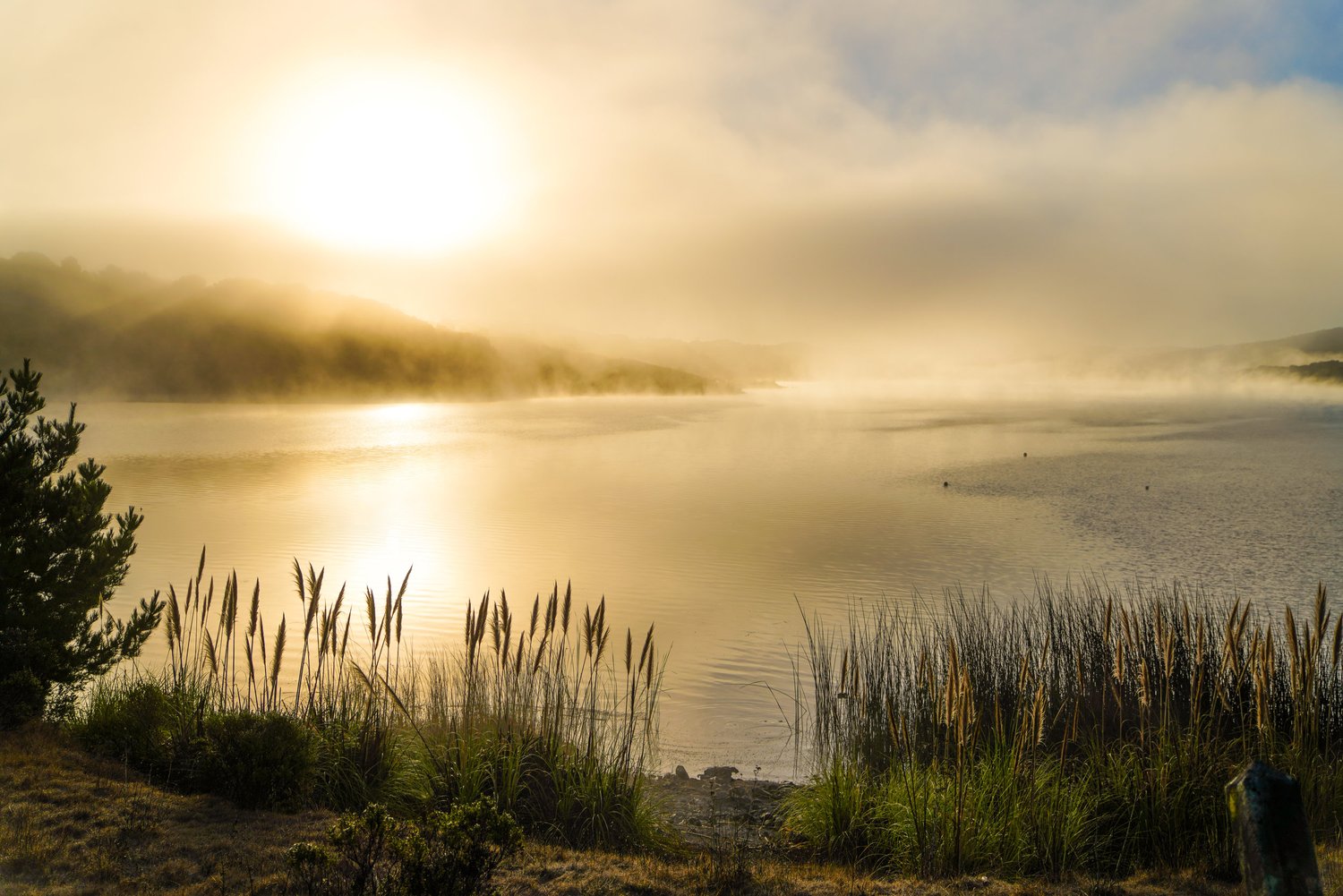 Upper Crystal Springs Reservoir