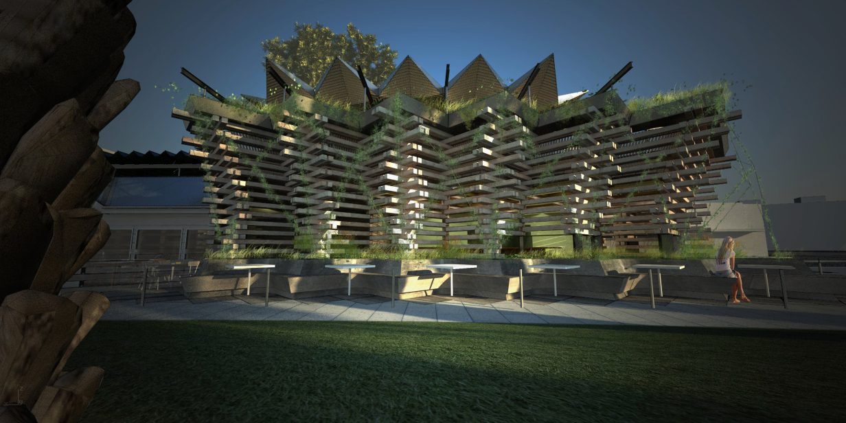 MarchStudio_Vineyard_010.png