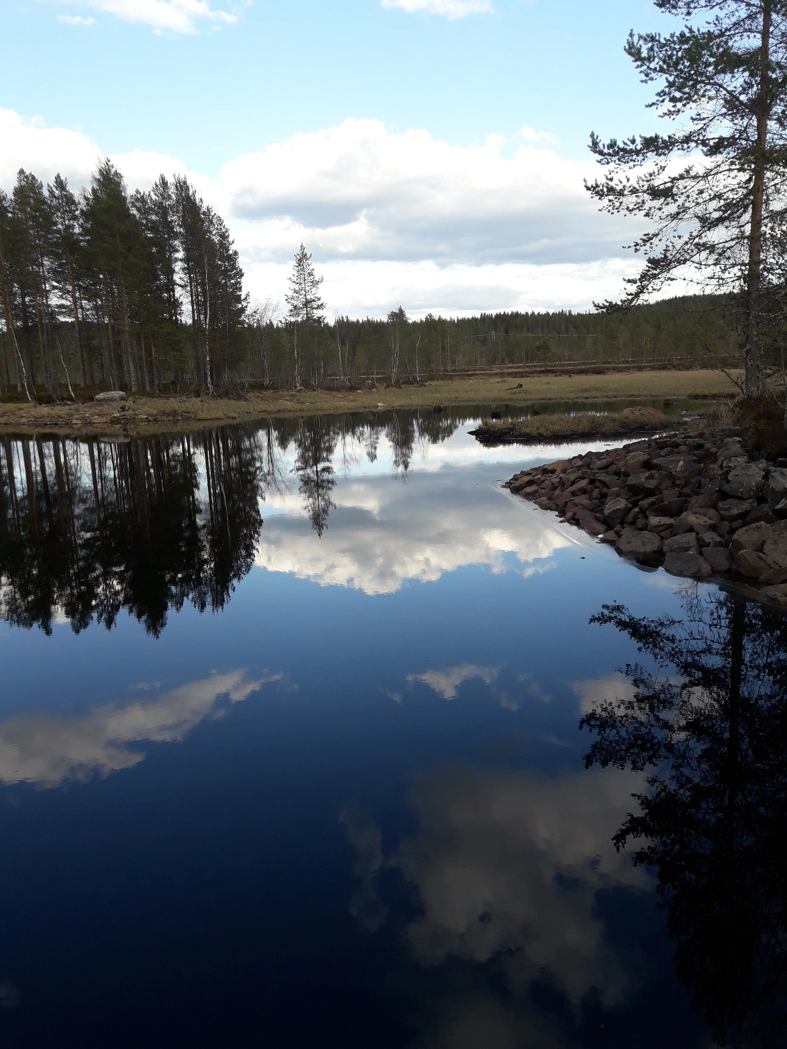 Speilblankt vann_Våtmark.jpg