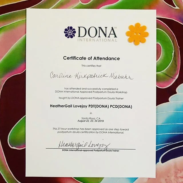 DONA trained!! I am so excited to dive deeper into my study and getting prepared to take my clients. 🙌 What an informative, fun and inspiring workshop. Thank you to @heathergaildoula for being a wise, silly and open trainer. Your belief in our group