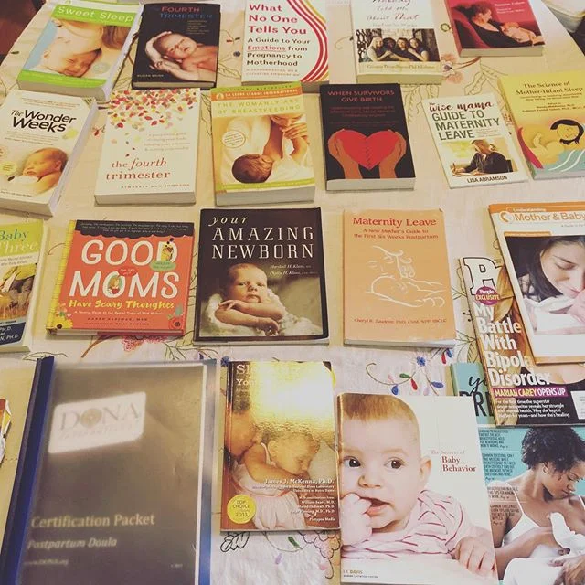 Post-Natal Doula Training this weekend!! I am so excited to be diving into this content to expand the Oriana Pathways mission. Excited to share more and bring English language Post-Natal Doula services to Vienna, Austria! #austriadoula #viennadoula #