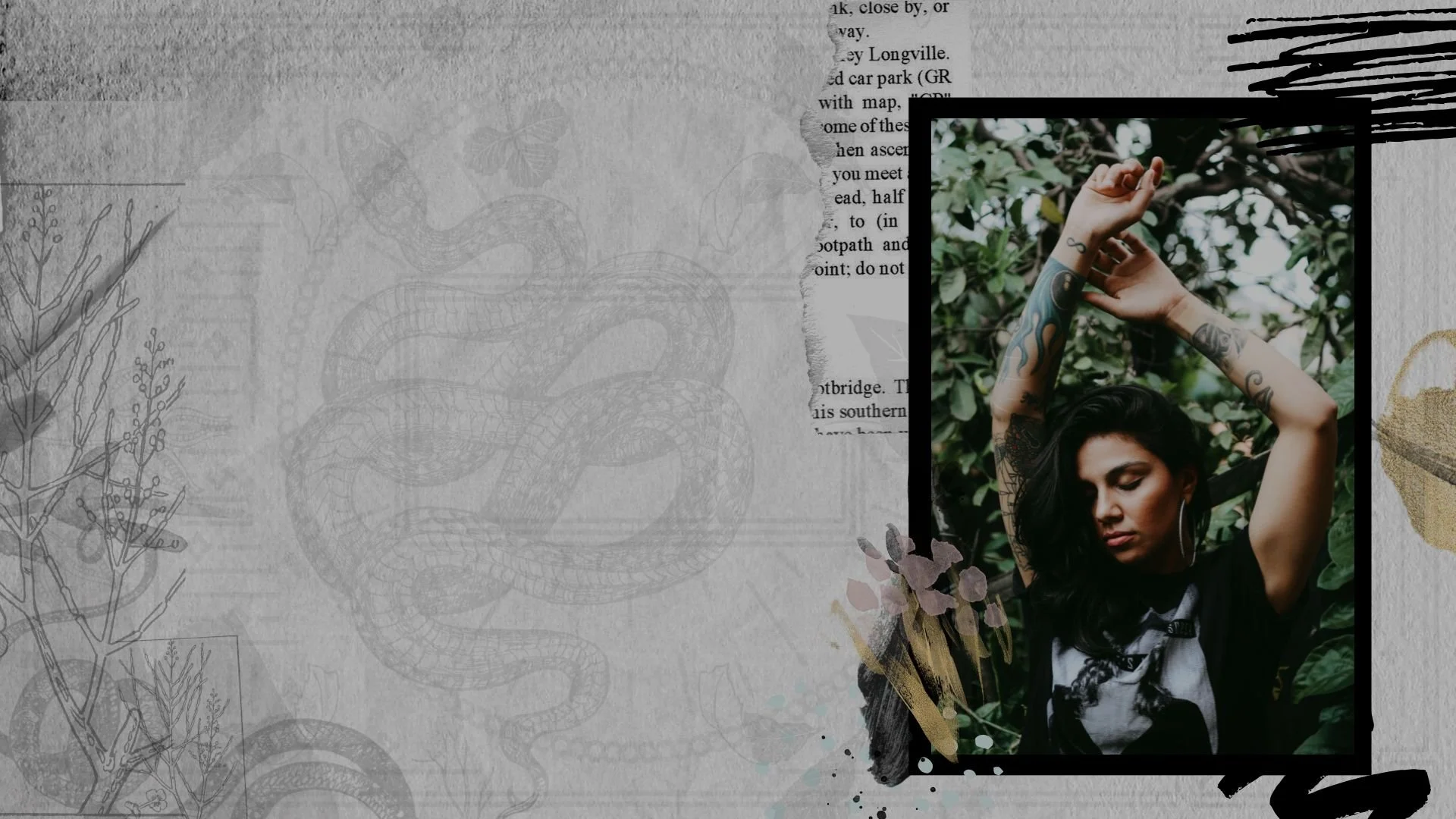 Intuition Expedition_Banner.jpg