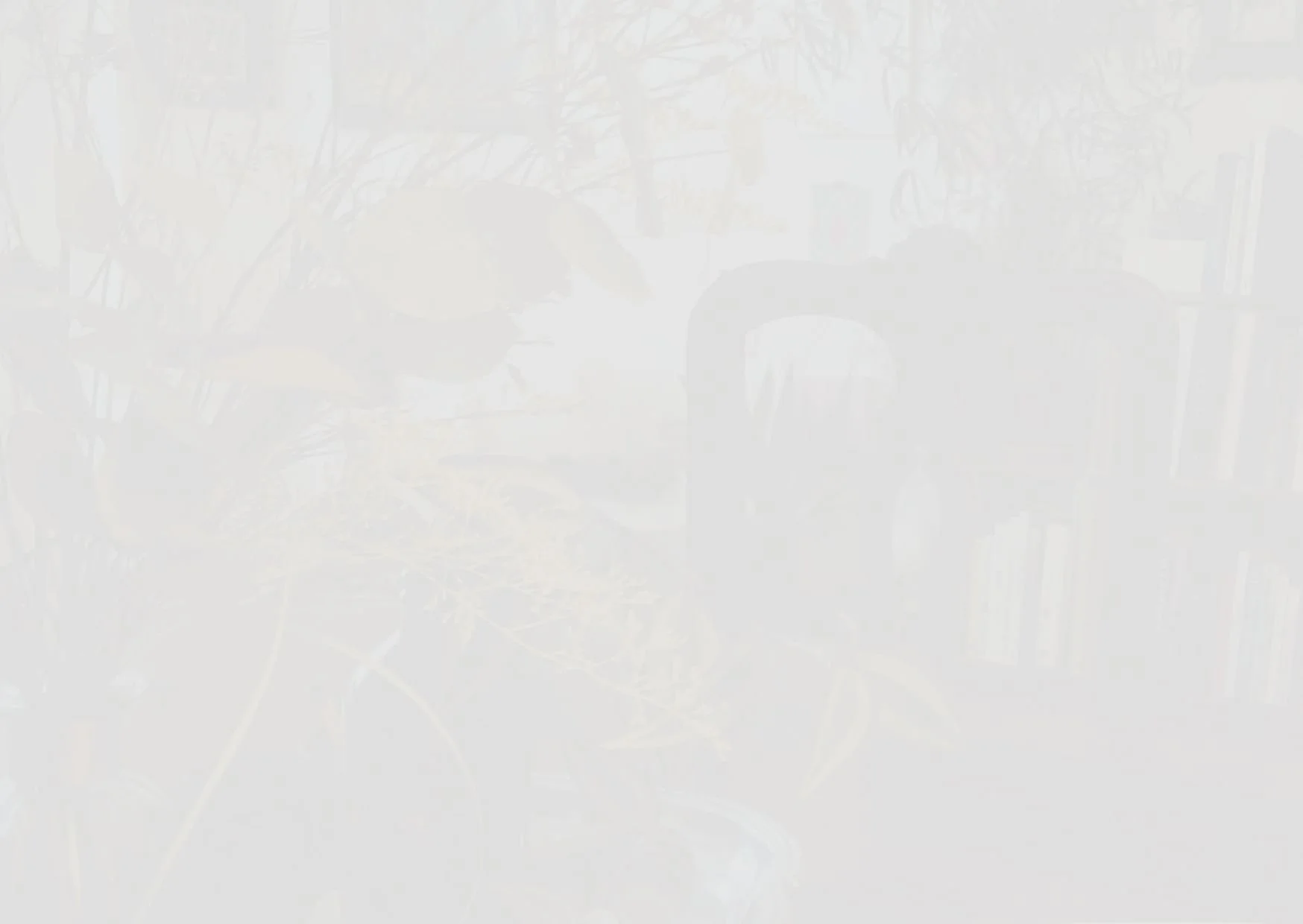 studio_deep dive_banner 3 (3).jpg