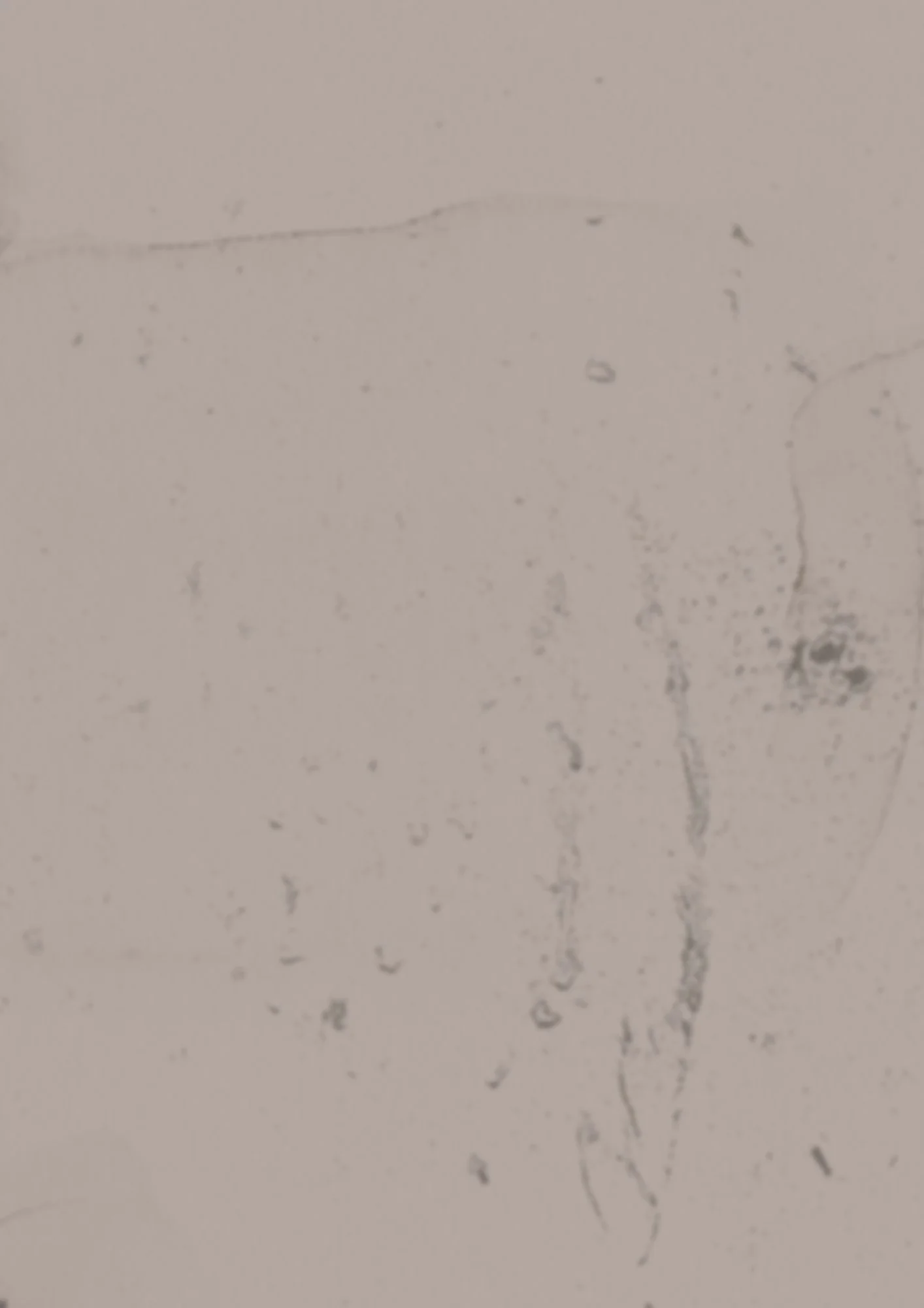 textured page background (1).jpg