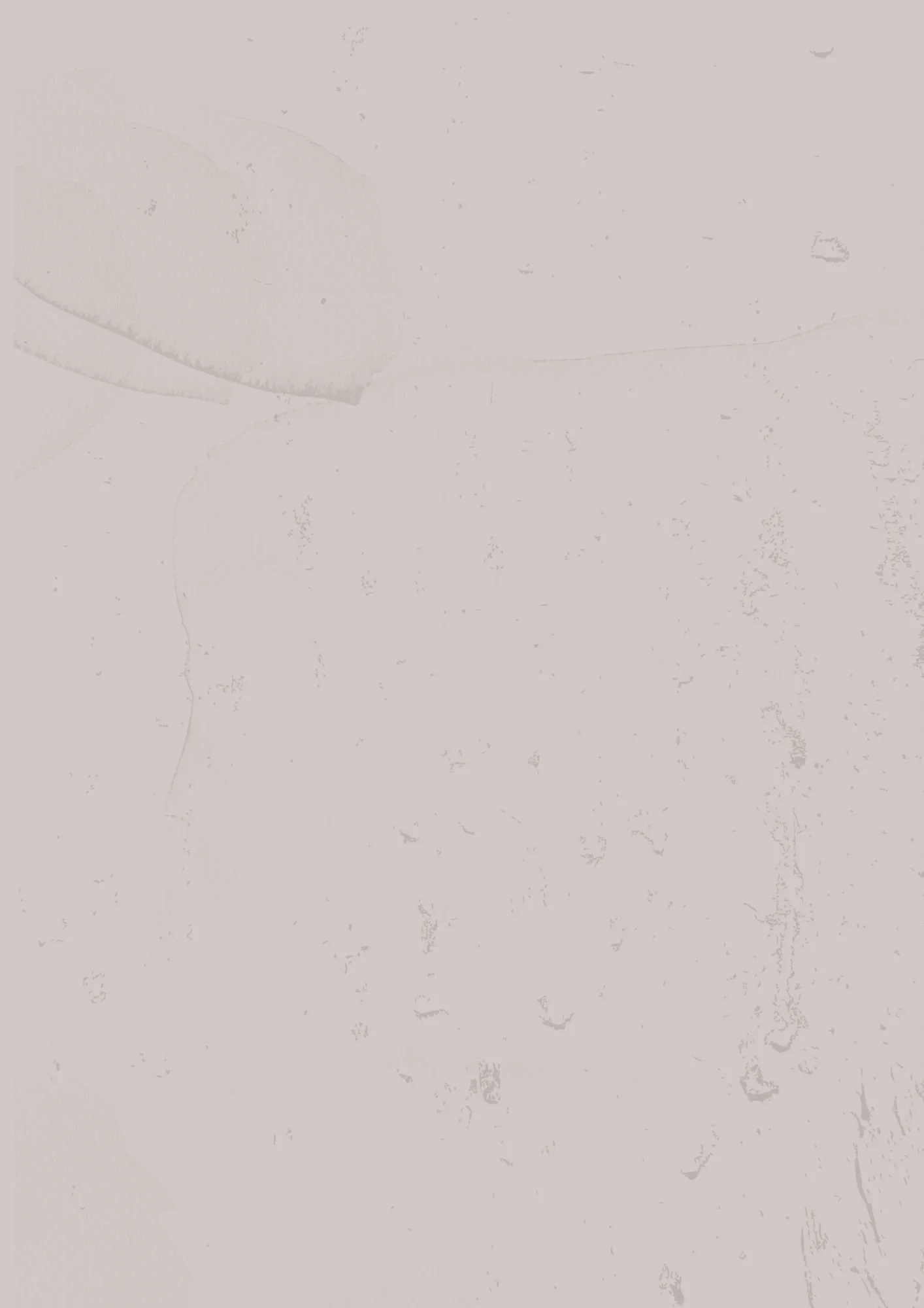 textured page background (9).jpg