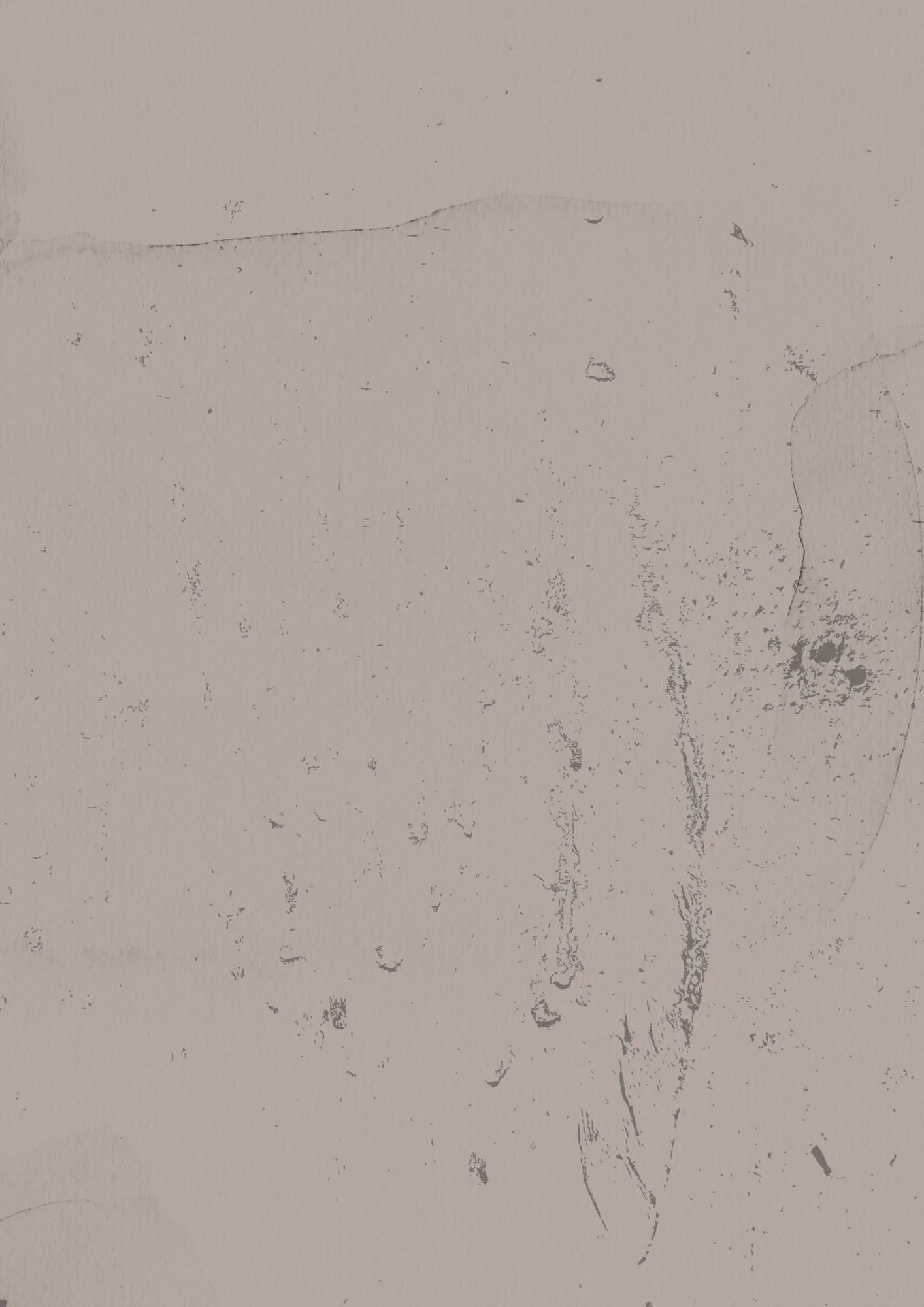 textured page background (1).jpg