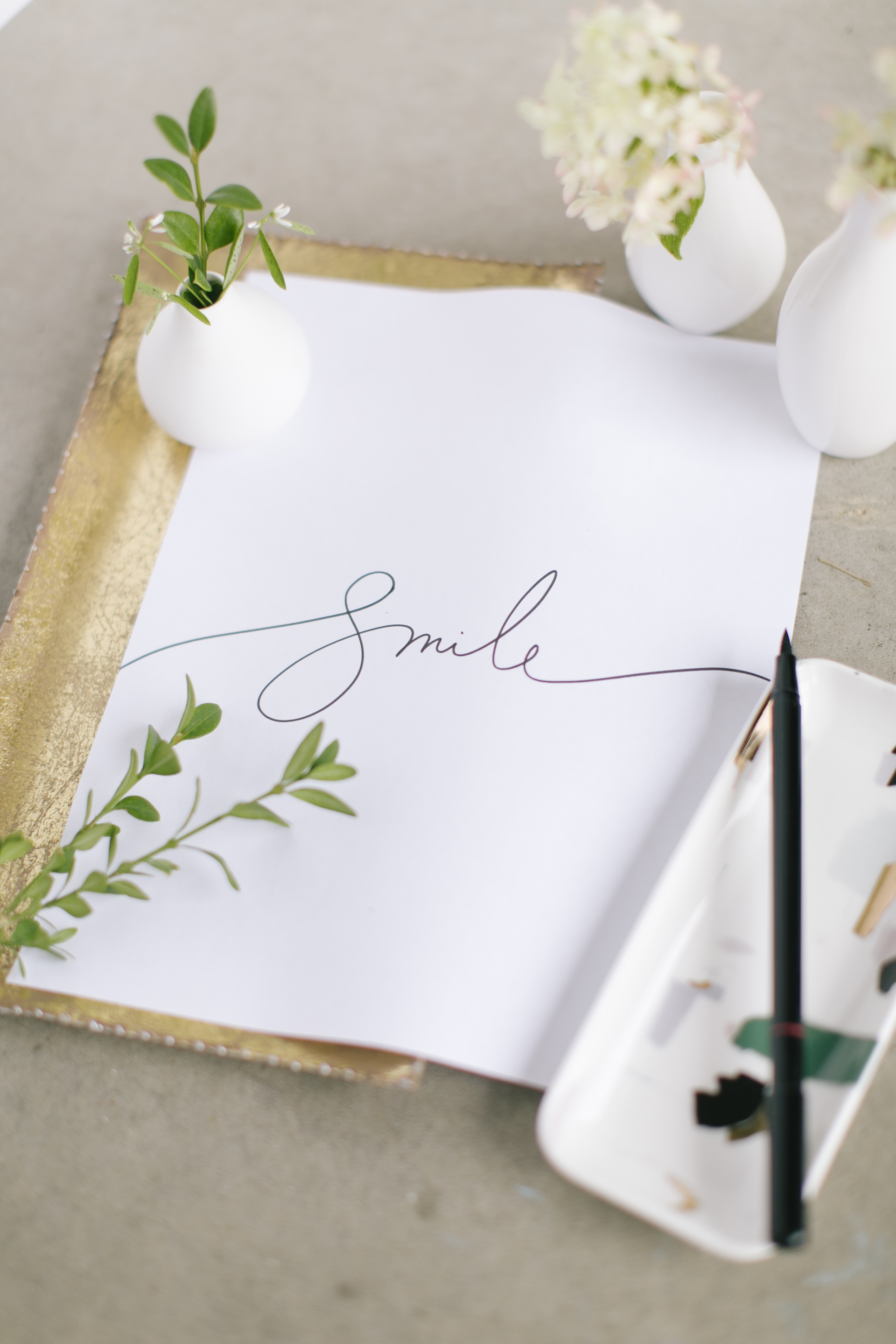 Top 3 Reasons You Need a Personal Branding Photoshoot