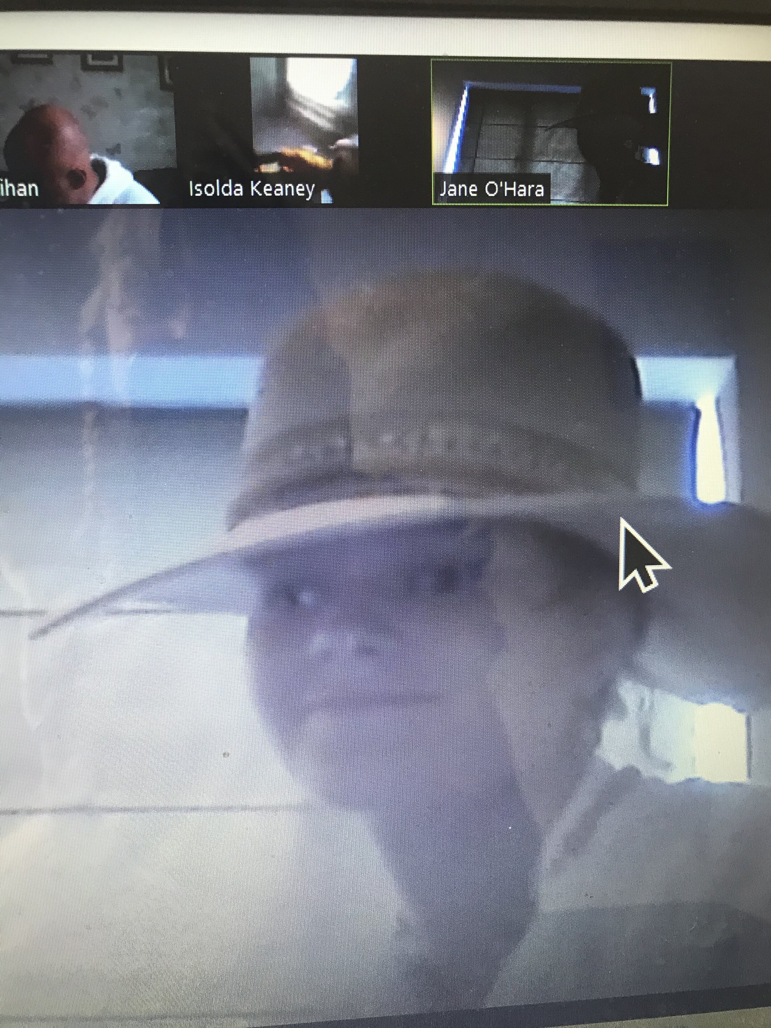 JANE.JPG