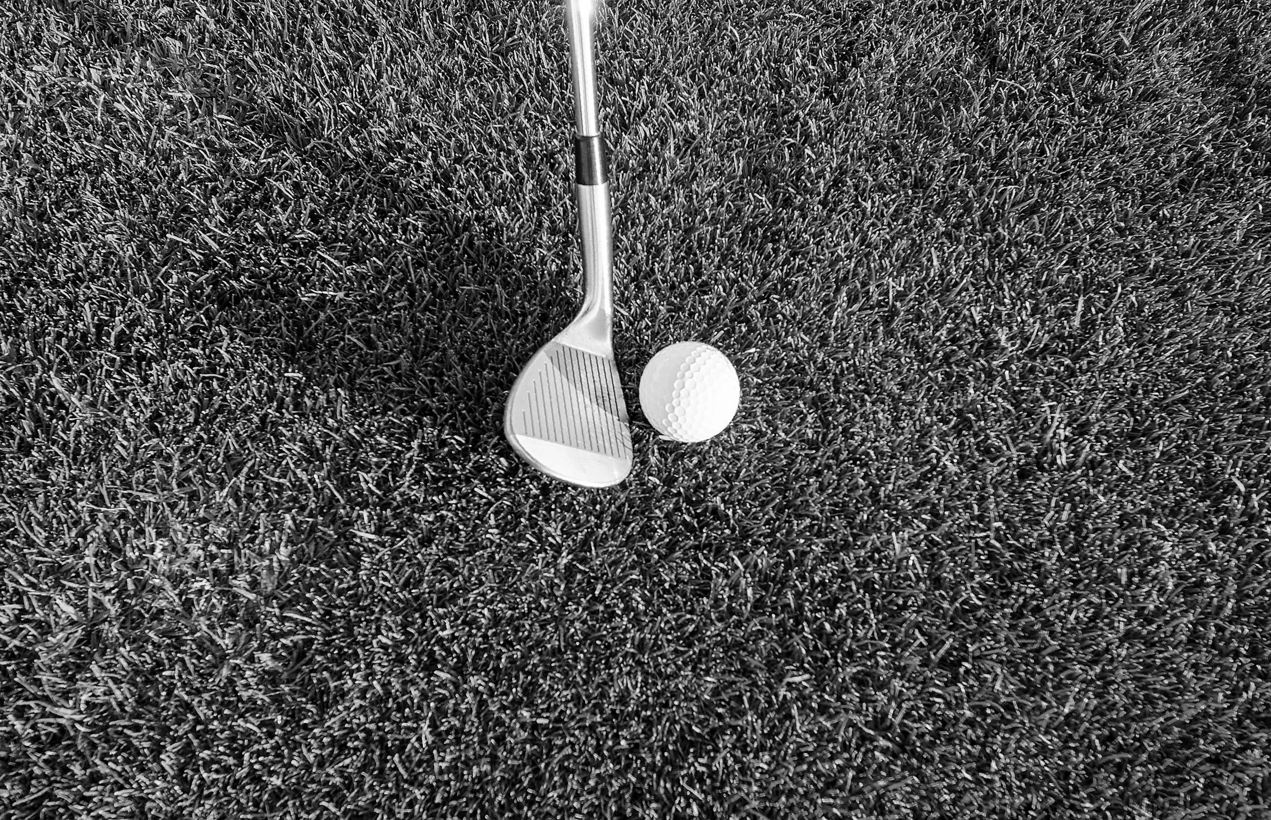 Ambassadors Taster Session 