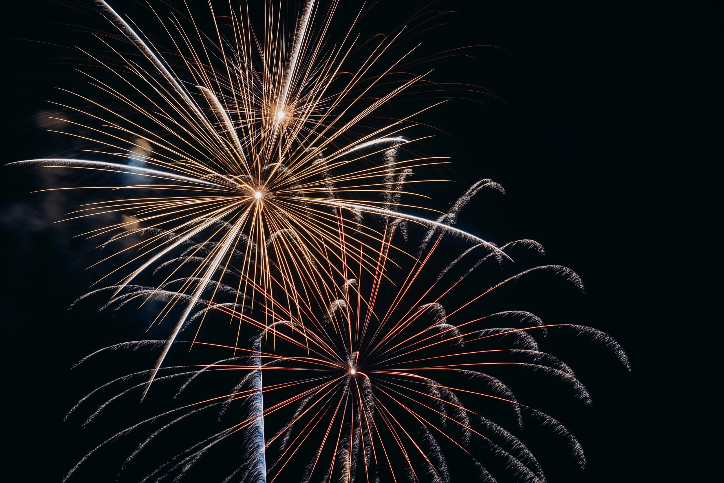 *Exciting News* Online Booking System - Coming Soon