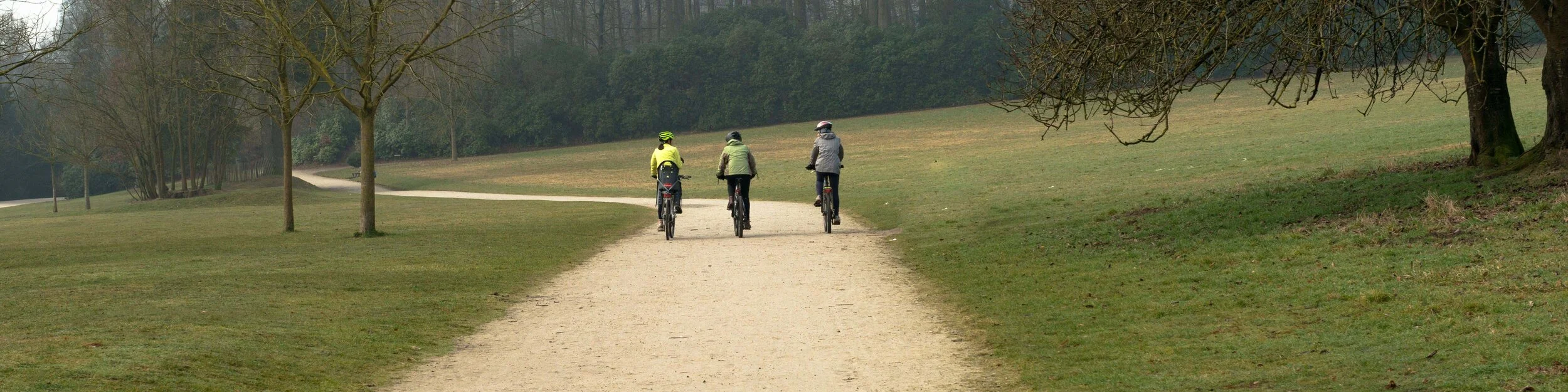 website bicycles.jpg