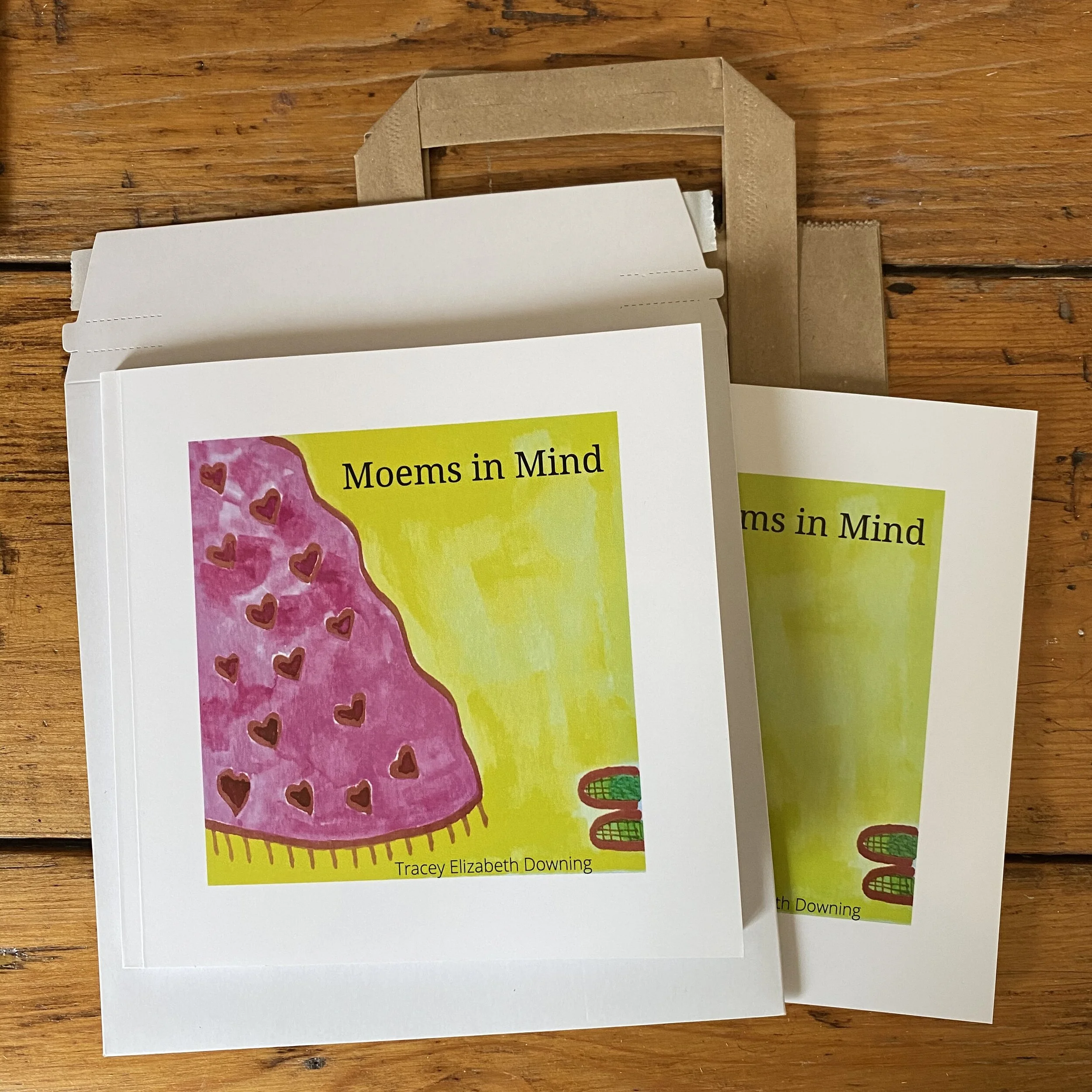 Tracey Elizabeth Downing Moems in Mind illustrated poetry book.jpeg