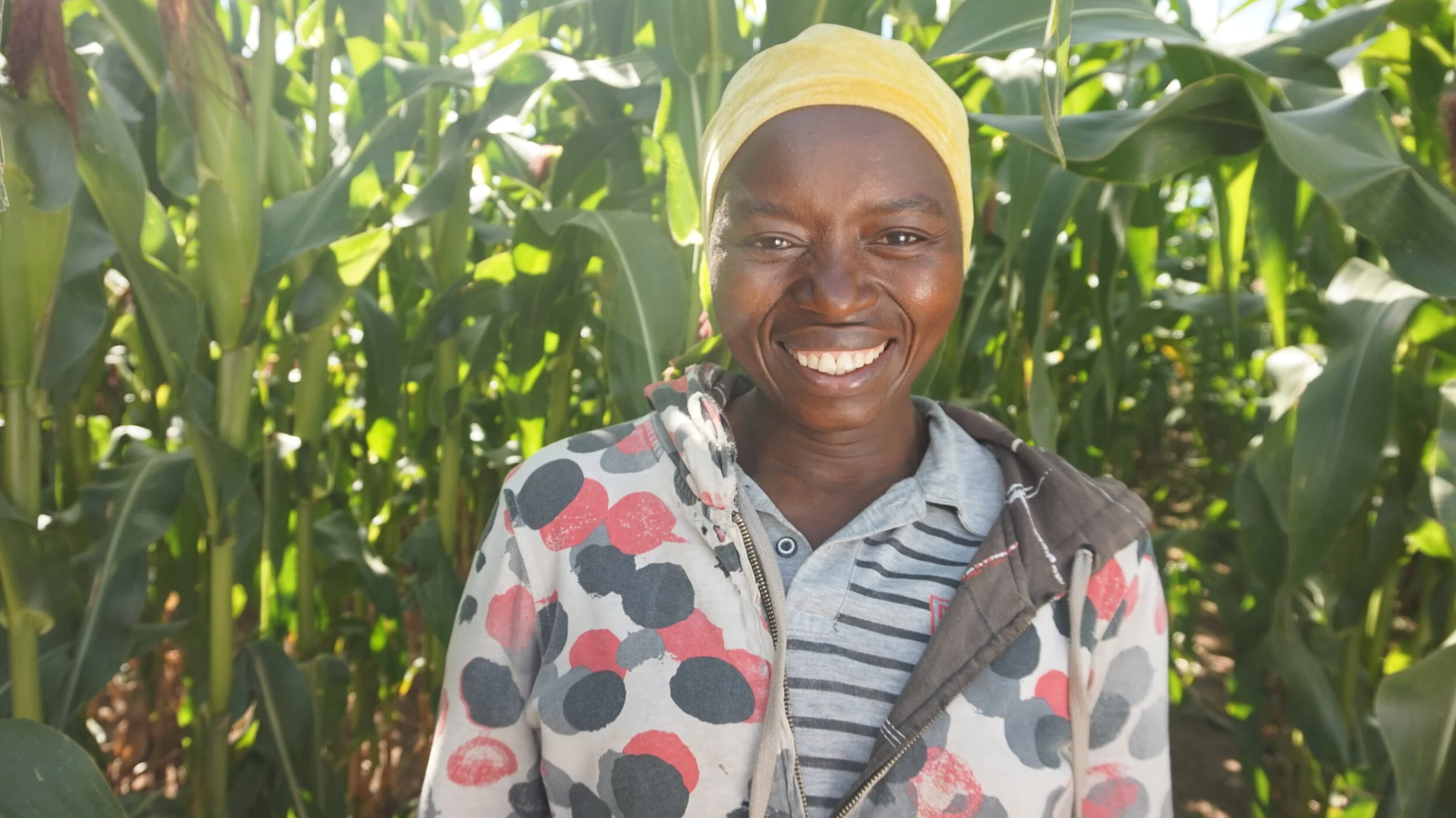 Improving soils