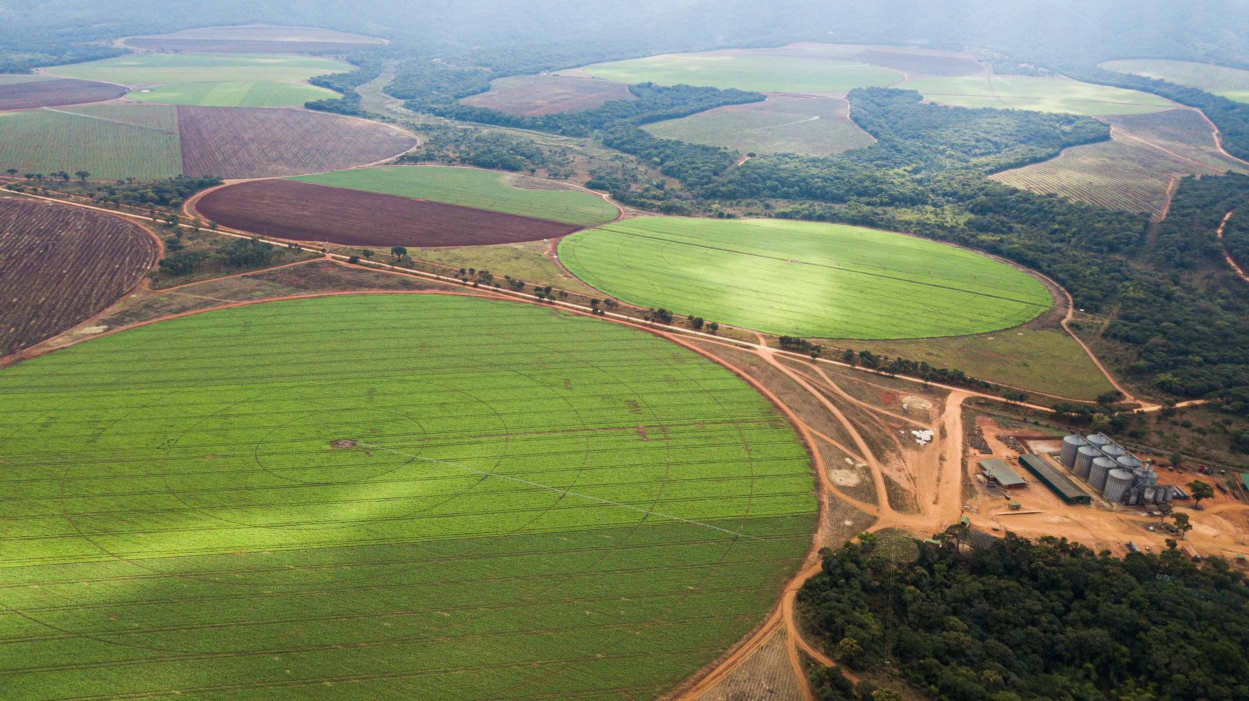 Ndolela Farm-2.jpg