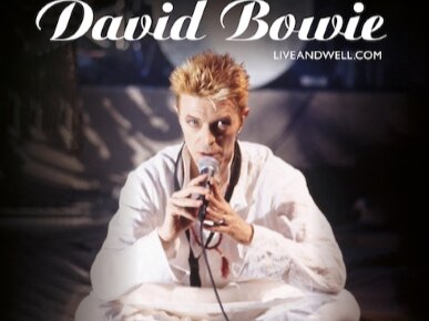 David Bowie Brilliant Live Adventures (1995-1999) series of six albums from the 90s